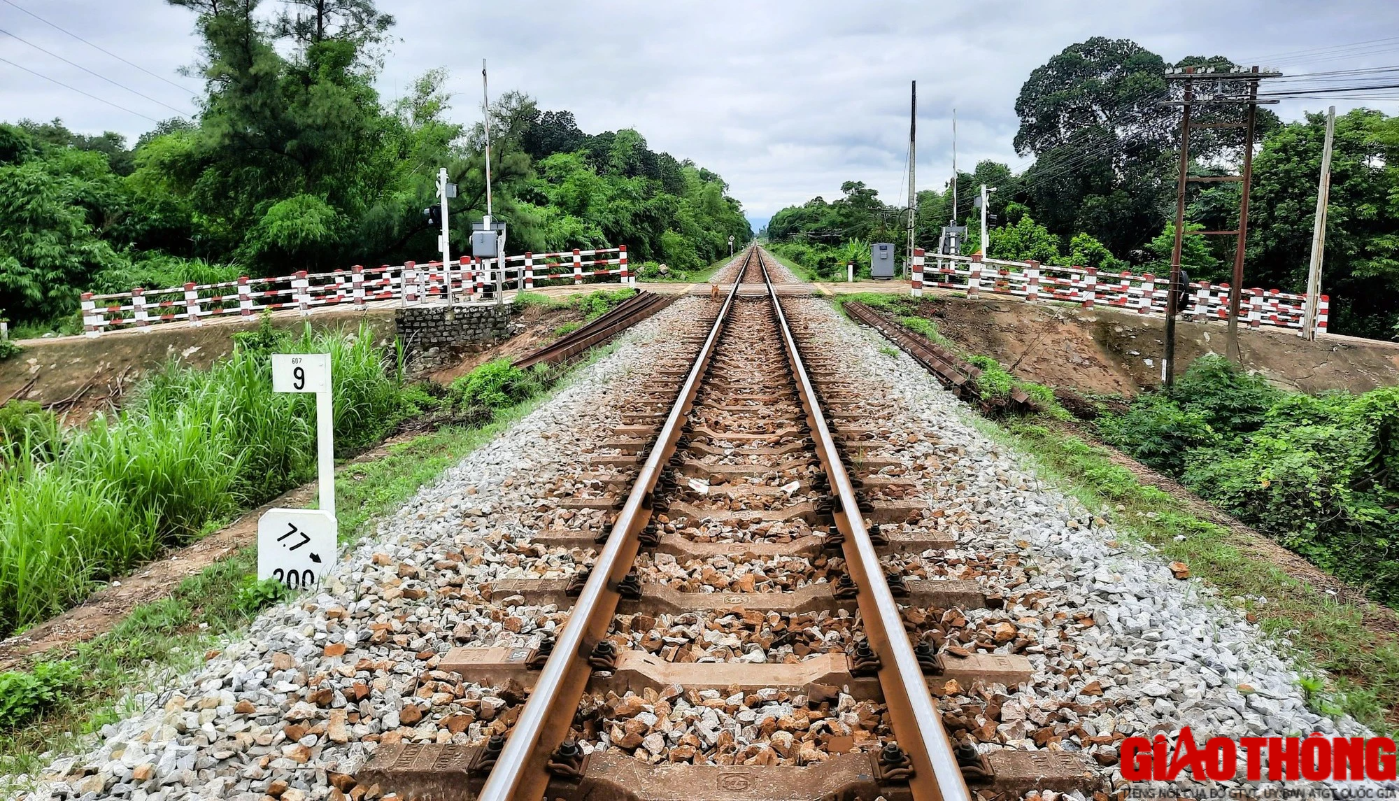 B&agrave;n giao mặt bằng sạch hạng mục cầu chui đường sắt ở Quảng Trị trước ng&agrave;y 15/9 - Ảnh 5.