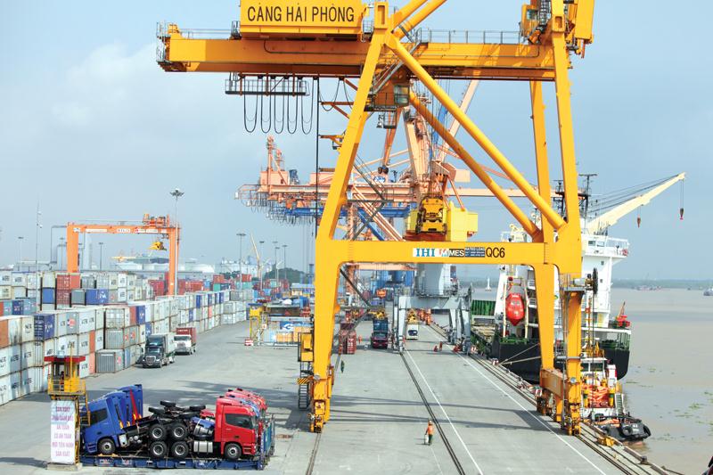 Gi&aacute; dịch vụ bốc dỡ container nh&oacute;m cảng biển số 1 thấp nhất cả nước - Ảnh 1.