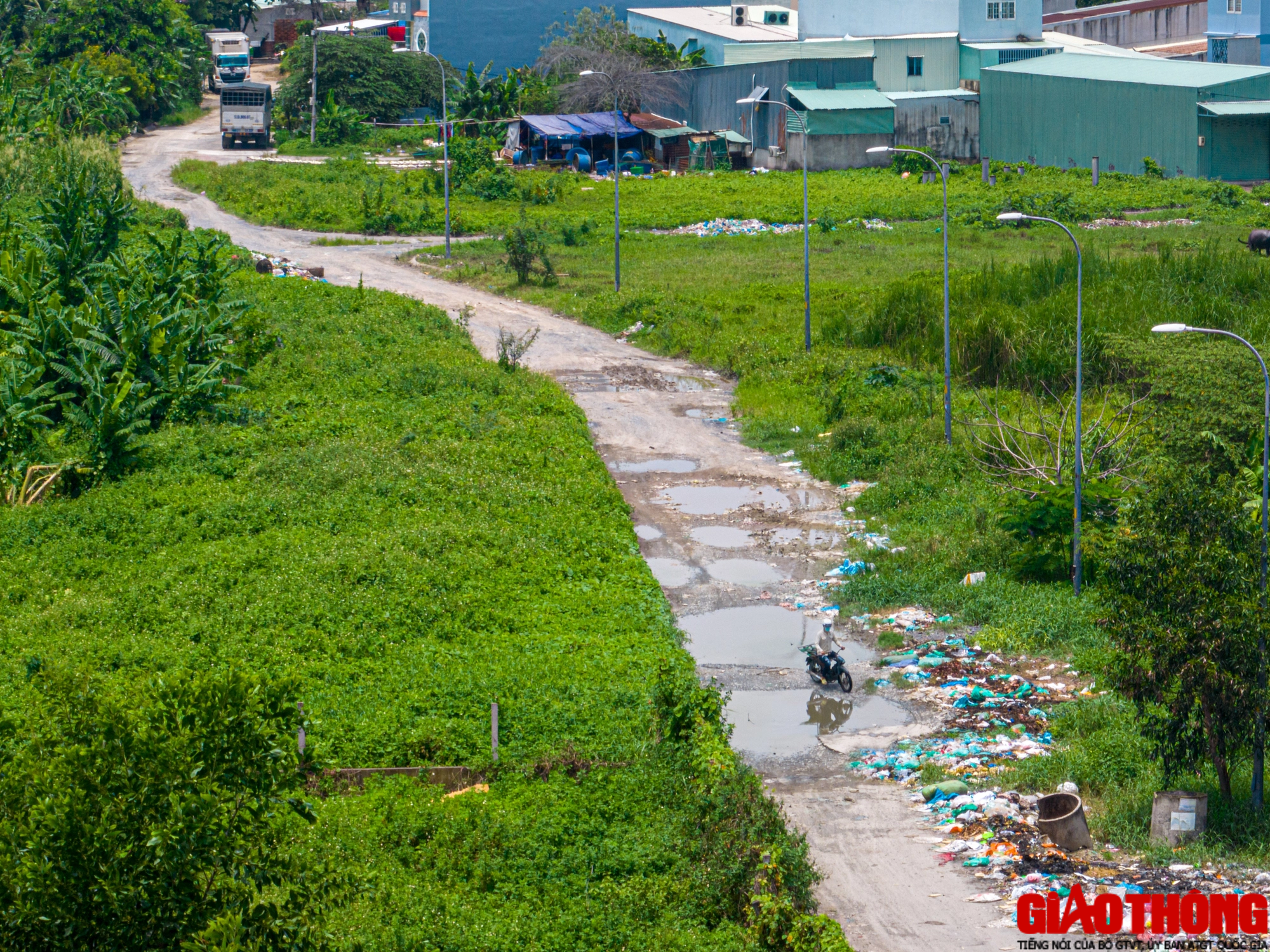 Ổ voi, ổ g&agrave; 'bủa v&acirc;y' khu t&aacute;i định cư Bến Lức ở TP.HCM - Ảnh 2.