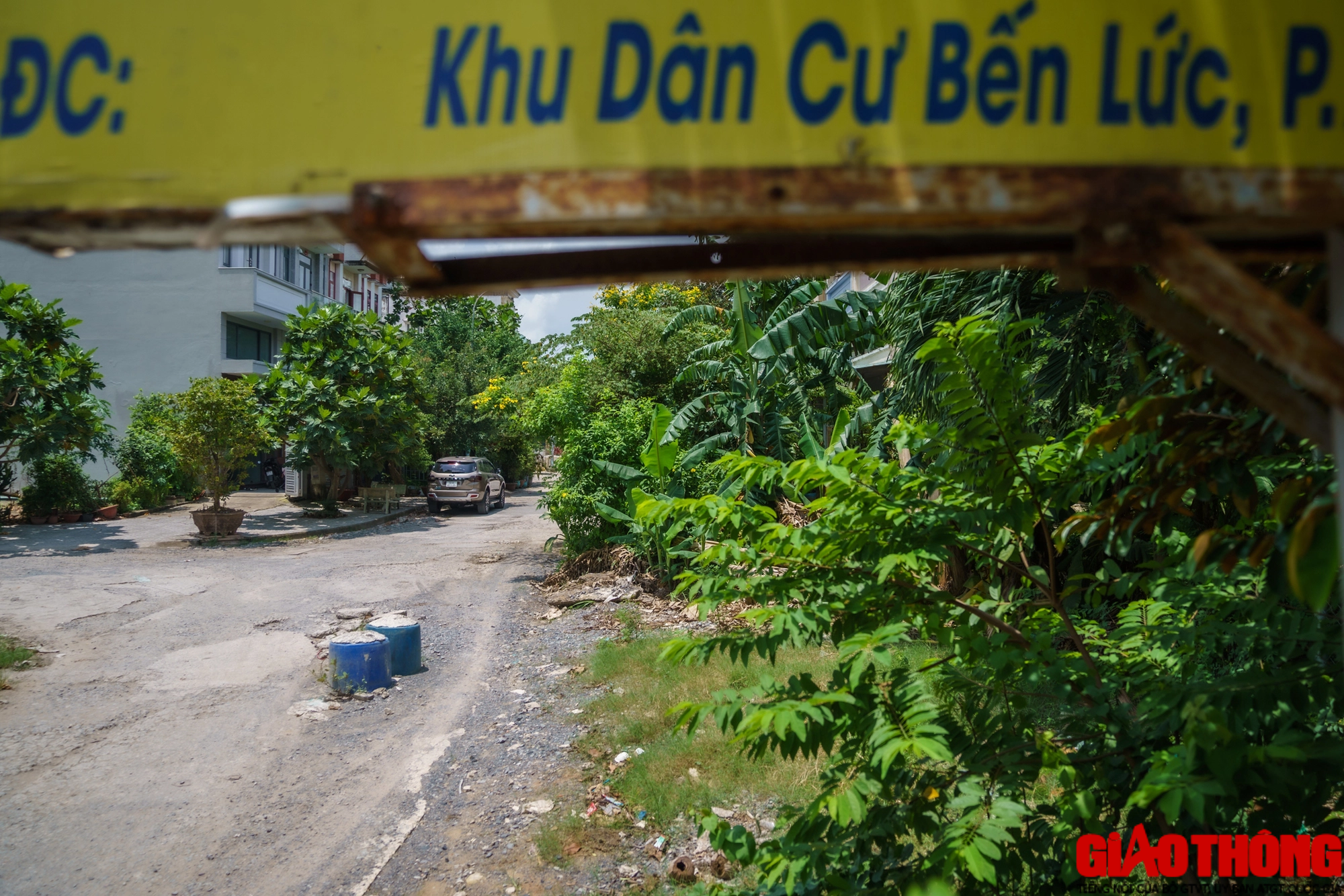 Ổ voi, ổ g&agrave; 'bủa v&acirc;y' khu t&aacute;i định cư Bến Lức ở TP.HCM - Ảnh 3.
