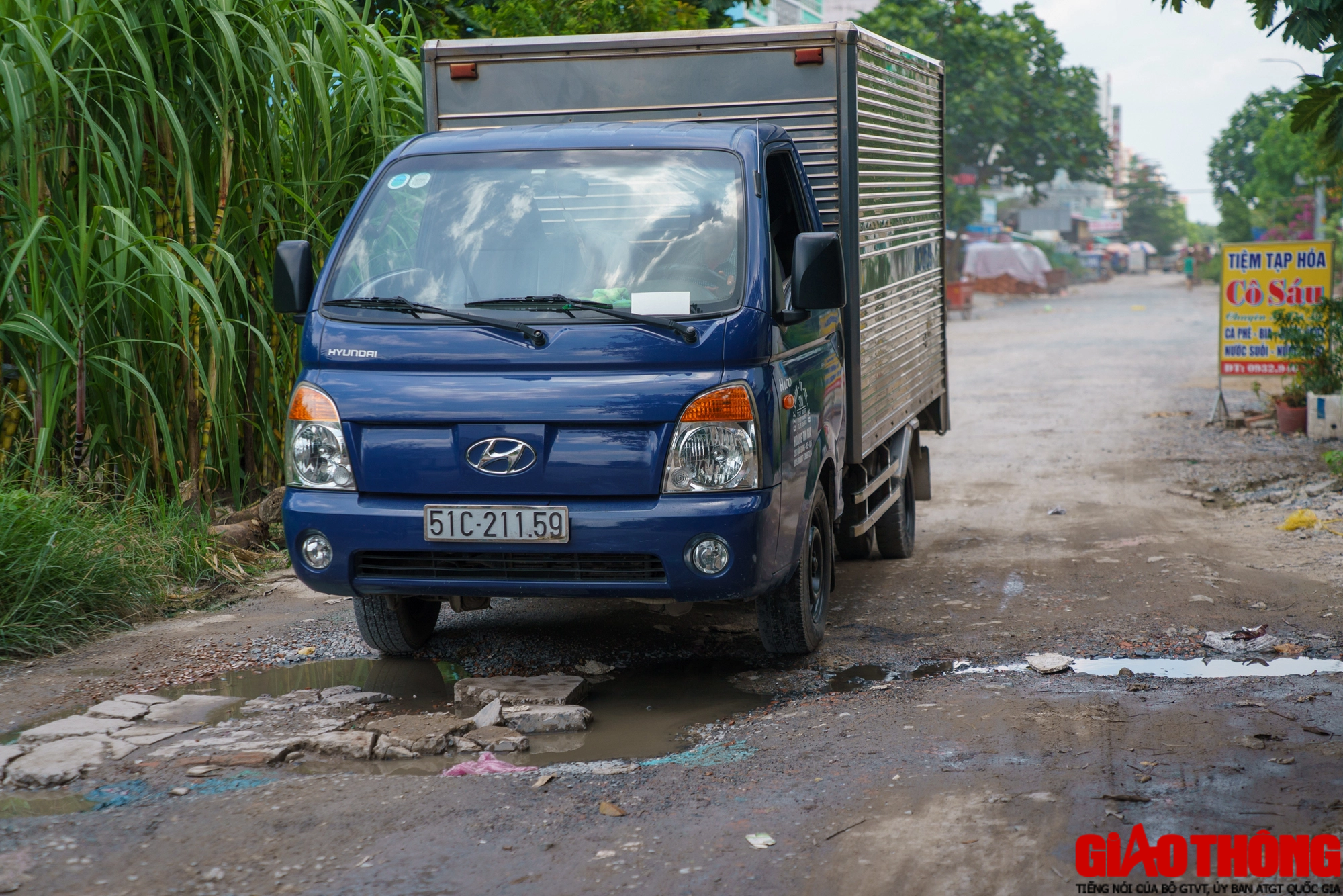 Ổ voi, ổ g&agrave; 'bủa v&acirc;y' khu t&aacute;i định cư Bến Lức ở TP.HCM - Ảnh 7.