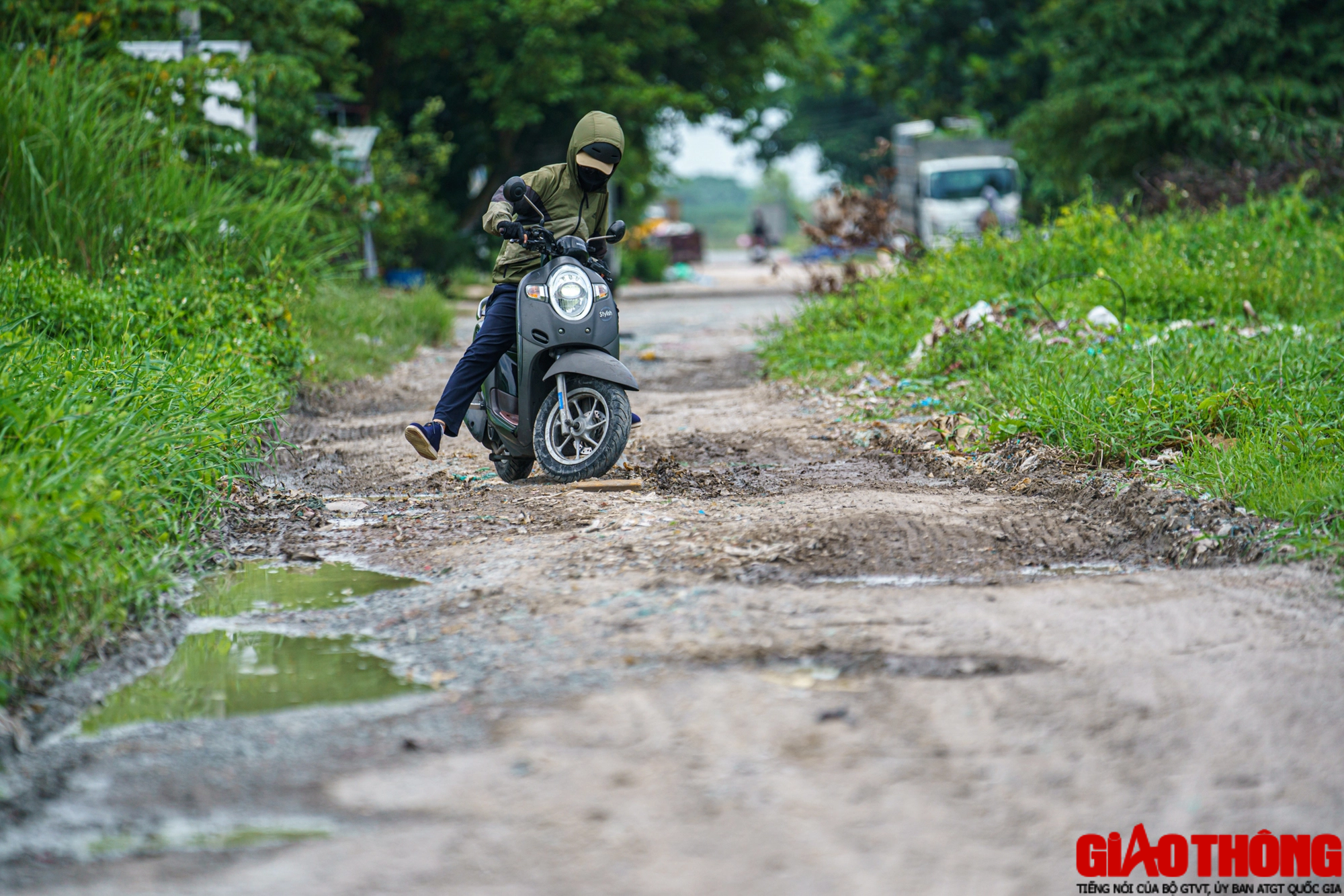 Ổ voi, ổ g&agrave; 'bủa v&acirc;y' khu t&aacute;i định cư Bến Lức ở TP.HCM - Ảnh 8.