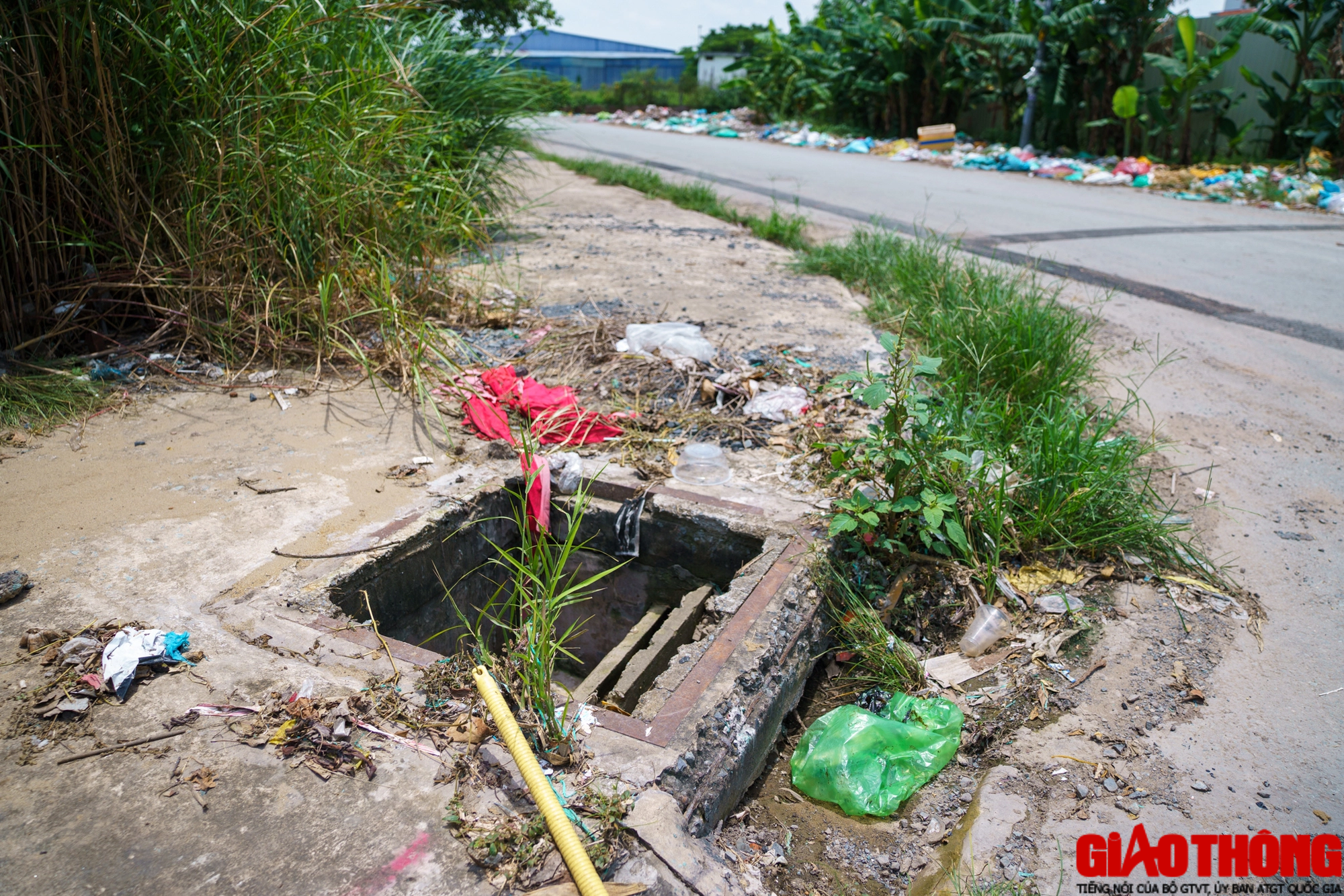 Ổ voi, ổ g&agrave; 'bủa v&acirc;y' khu t&aacute;i định cư Bến Lức ở TP.HCM - Ảnh 10.