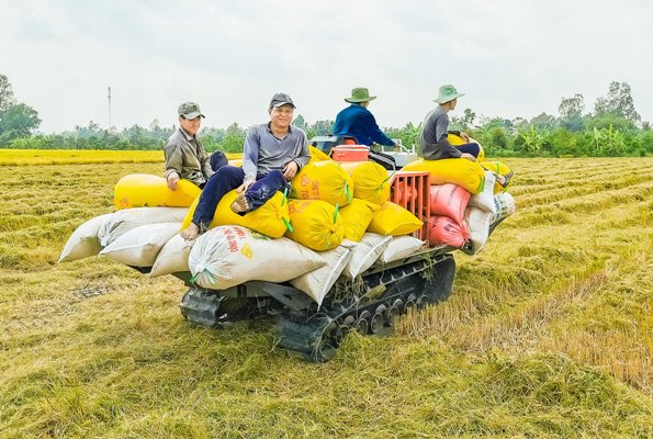 Nhận diện 4 điểm yếu để Đồng bằng s&ocirc;ng Cửu Long bức ph&aacute; - Ảnh 2.