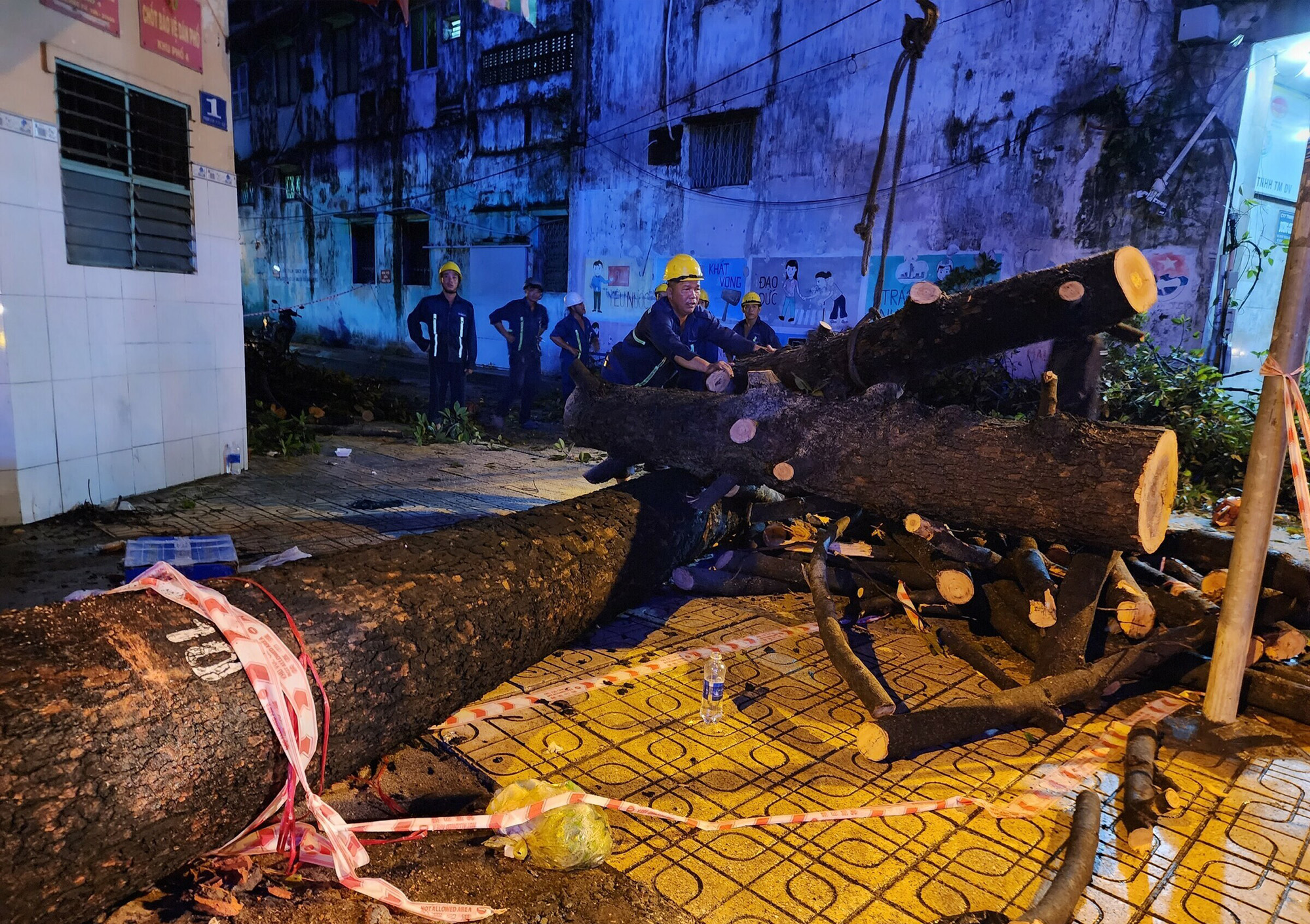 Nh&agrave; tốc m&aacute;i, c&acirc;y đổ đ&egrave; l&ecirc;n &ocirc; t&ocirc; sau trận mưa ở TP.HCM - Ảnh 2.