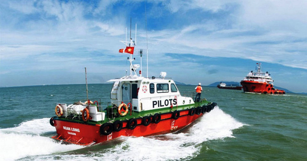 Gi&aacute; hoa ti&ecirc;u ch&ecirc;nh lệch lớn: Nơi hơn 150 triệu, chốn 500.000 đồng/tuyến - Ảnh 1.