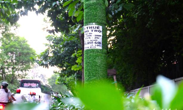 photo-1695307749102