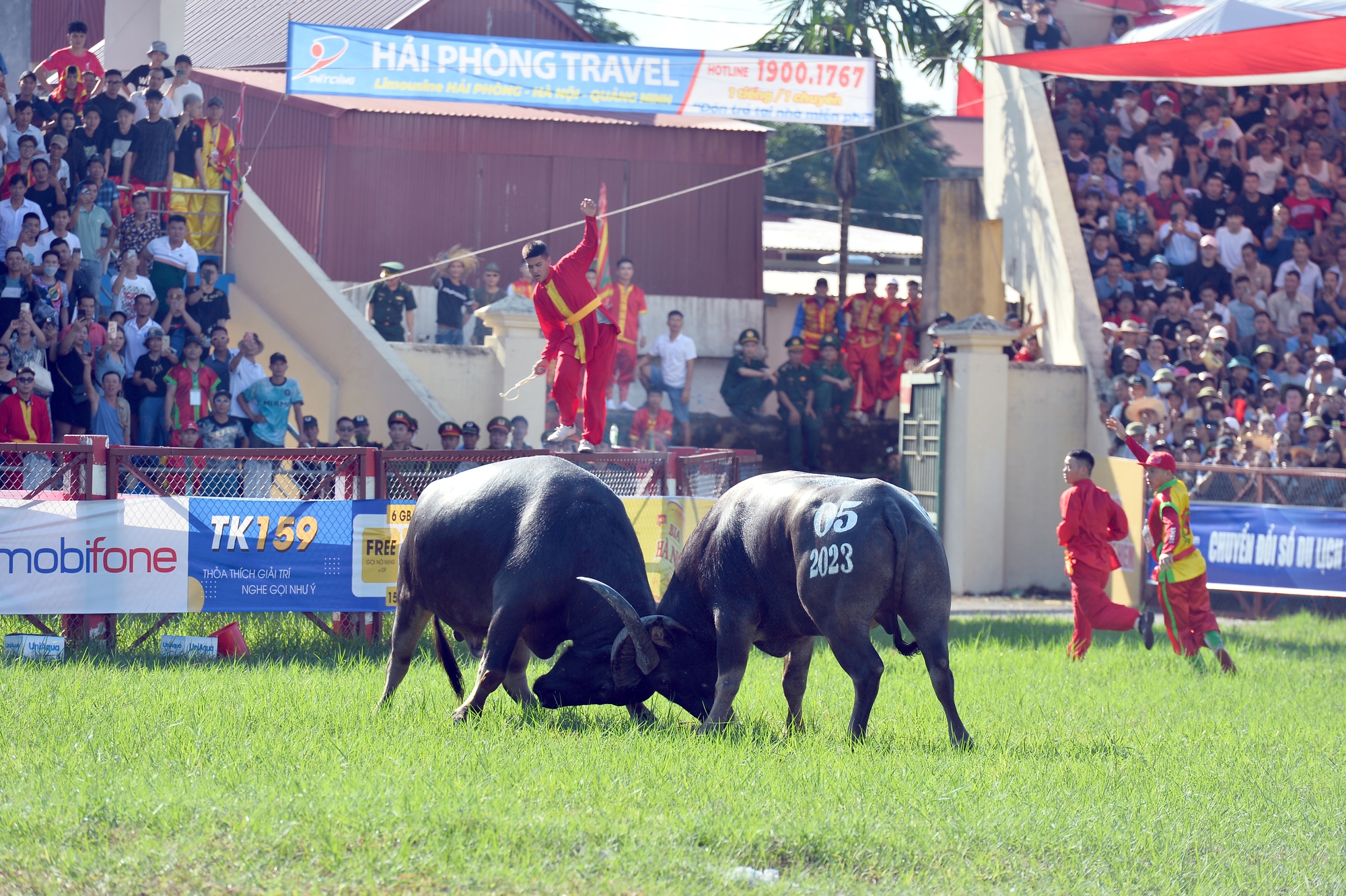 Hải Ph&ograve;ng: H&agrave;ng vạn du kh&aacute;ch chen ch&acirc;n nhau về xem lễn hội chọi tr&acirc;u Đồ Sơn 2023  - Ảnh 1.
