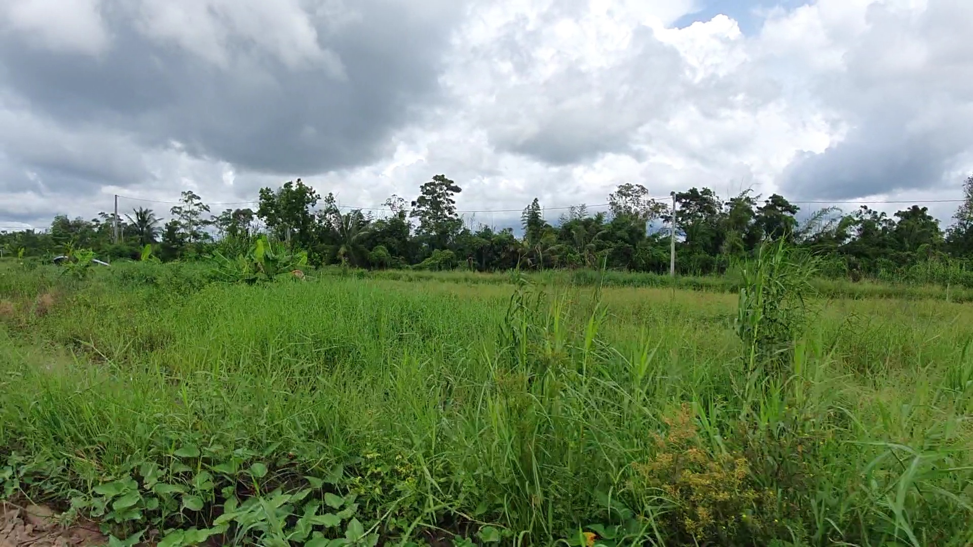 Nh&agrave; thầu cao tốc Cần Thơ - C&agrave; Mau phải thay đổi kế hoạch thi c&ocirc;ng th&iacute;ch ứng với kh&oacute; khăn - Ảnh 5.