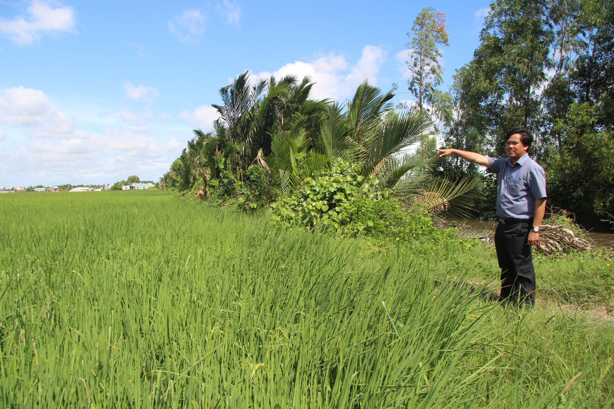 Hơn 65 tỷ đồng khu t&aacute;i định cư dự &aacute;n đường V&agrave;nh đai 3 TP.HCM qua Long An - Ảnh 1.