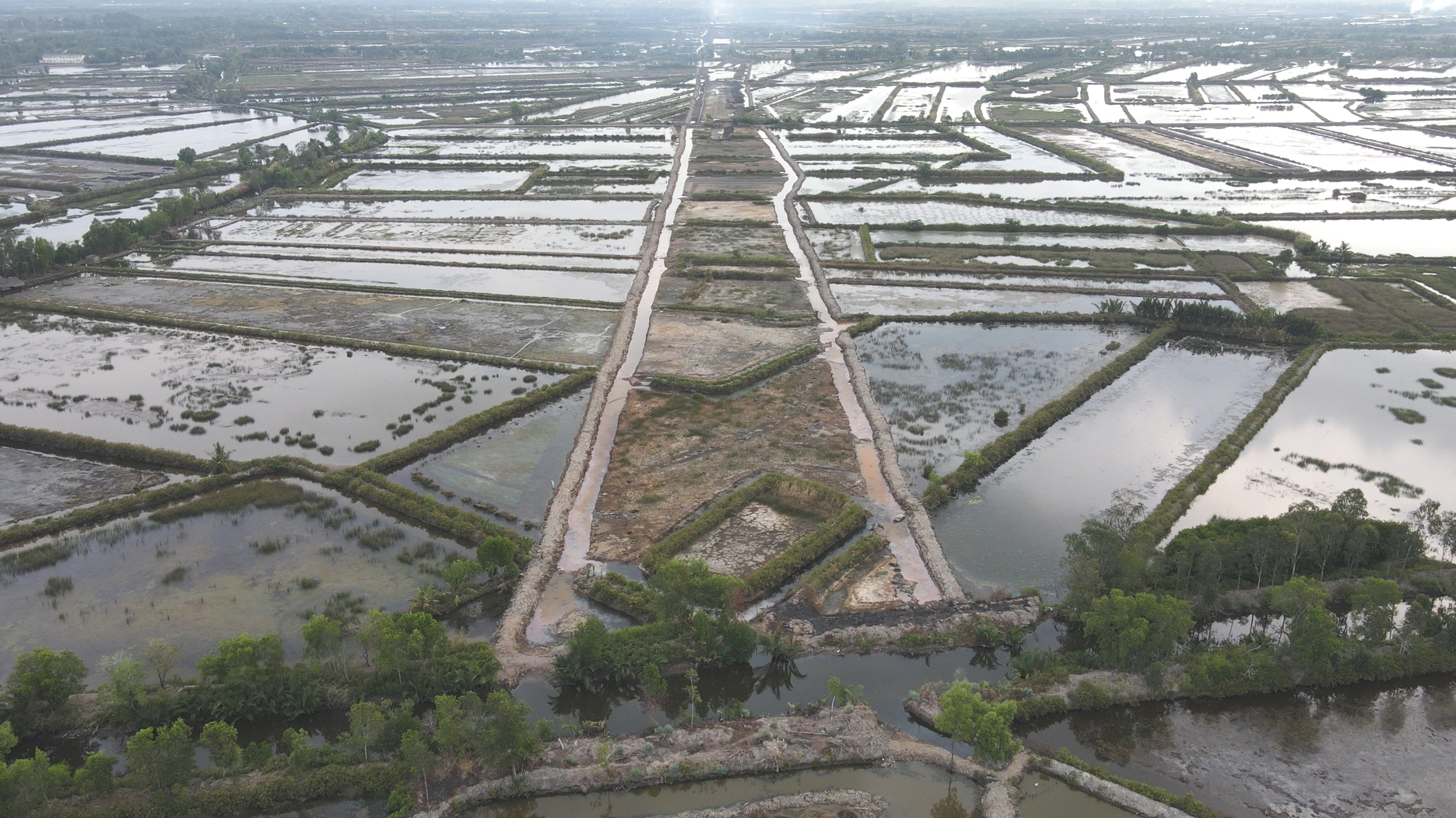 Thứ trưởng Nguyễn Duy L&acirc;m n&ecirc;u năm giải ph&aacute;p ph&aacute;t triển giao th&ocirc;ng li&ecirc;n v&ugrave;ng ĐBSCL - Ảnh 2.