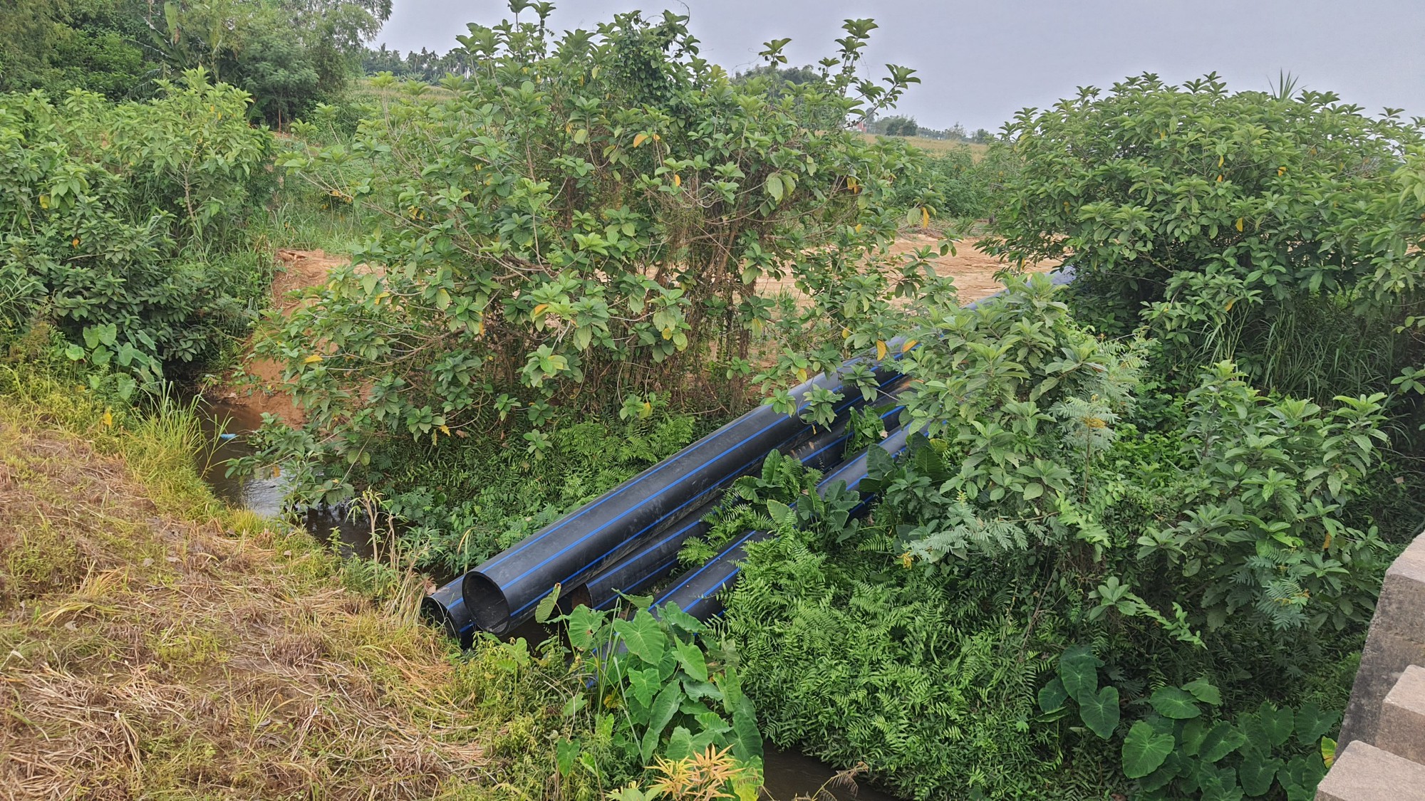 Dự &aacute;n nước sạch lớn nhất Quảng Ng&atilde;i thi c&ocirc;ng cầm chừng, trễ tiến độ nhiều năm - Ảnh 3.