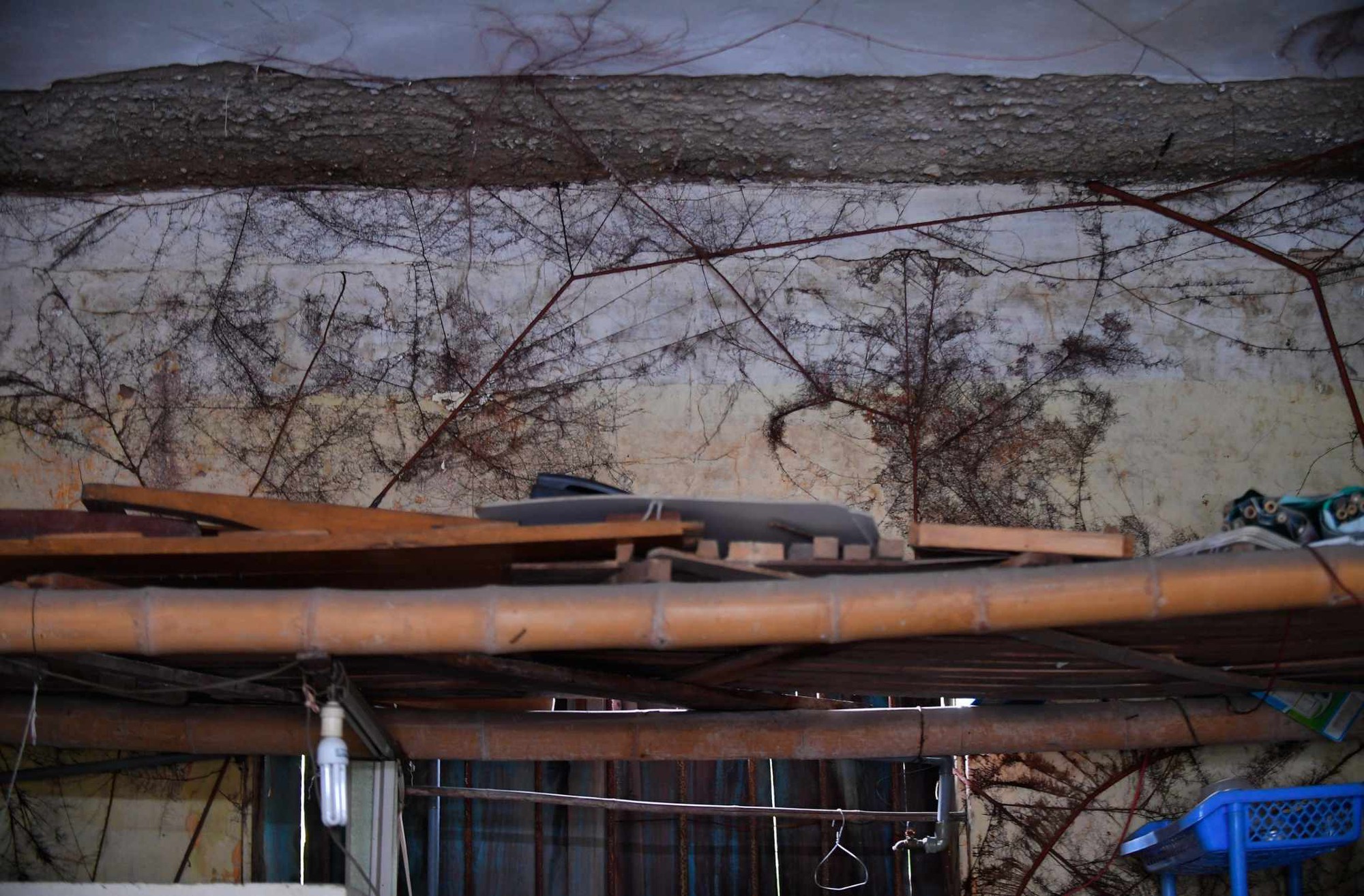 Hơn trăm hộ dân "sống mòn" trong khu tập thể nhà máy chế tạo bơm - Ảnh 12. Hơn trăm hộ dân "sống mòn" trong khu tập thể nhà máy chế tạo bơm - Ảnh 12.