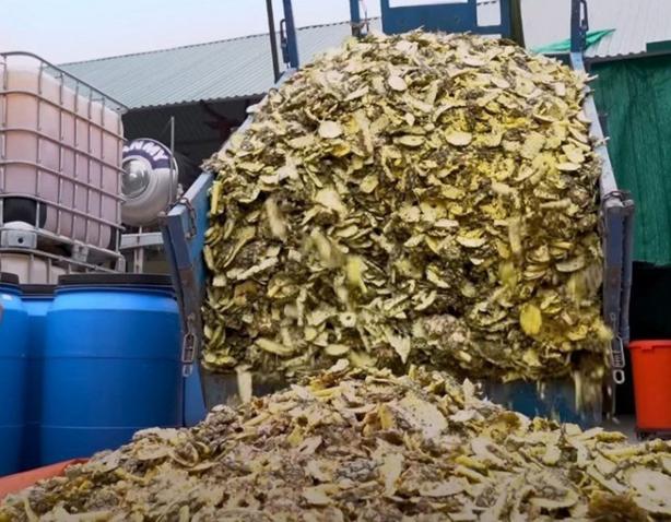 photo-1695951619728 photo-1695951619728