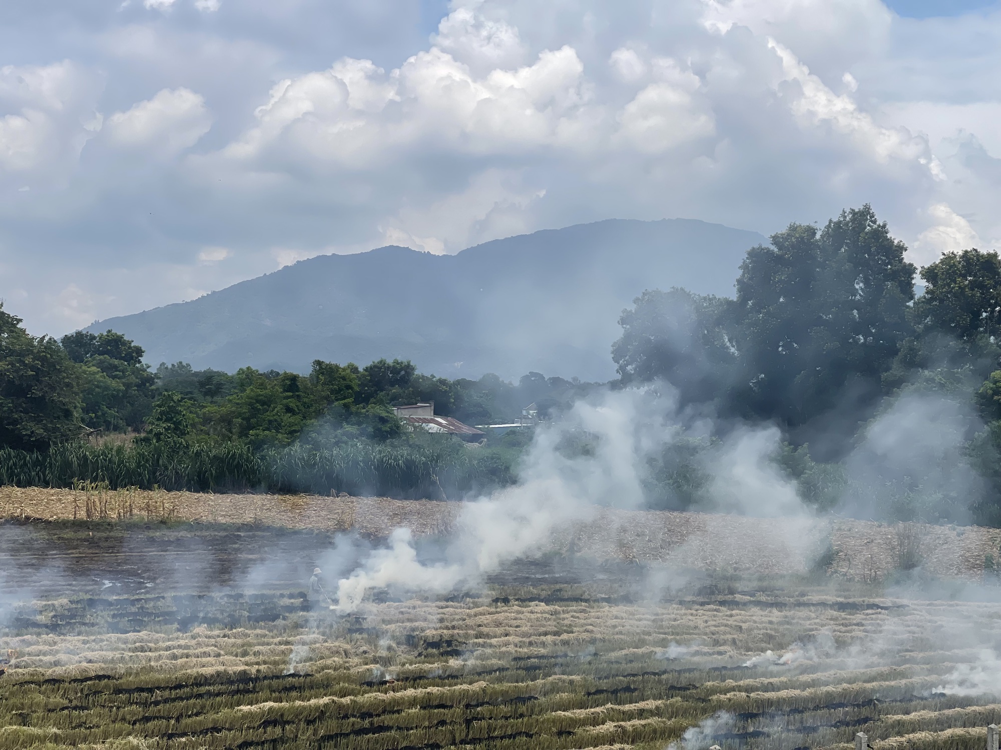 Kh&oacute;i bao tr&ugrave;m một đoạn cao tốc Phan Thiết - Dầu Gi&acirc;y khiến t&agrave;i xế phải đột ngột giảm tốc độ - Ảnh 3.