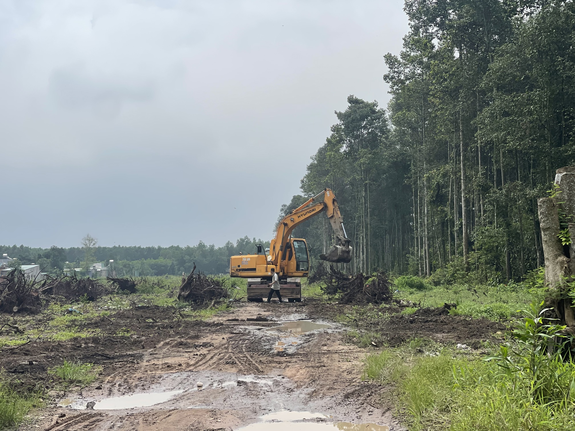 T&aacute;i định cư cho cao tốc Bi&ecirc;n H&ograve;a - Vũng T&agrave;u c&ograve;n ngổn ngang - Ảnh 6.
