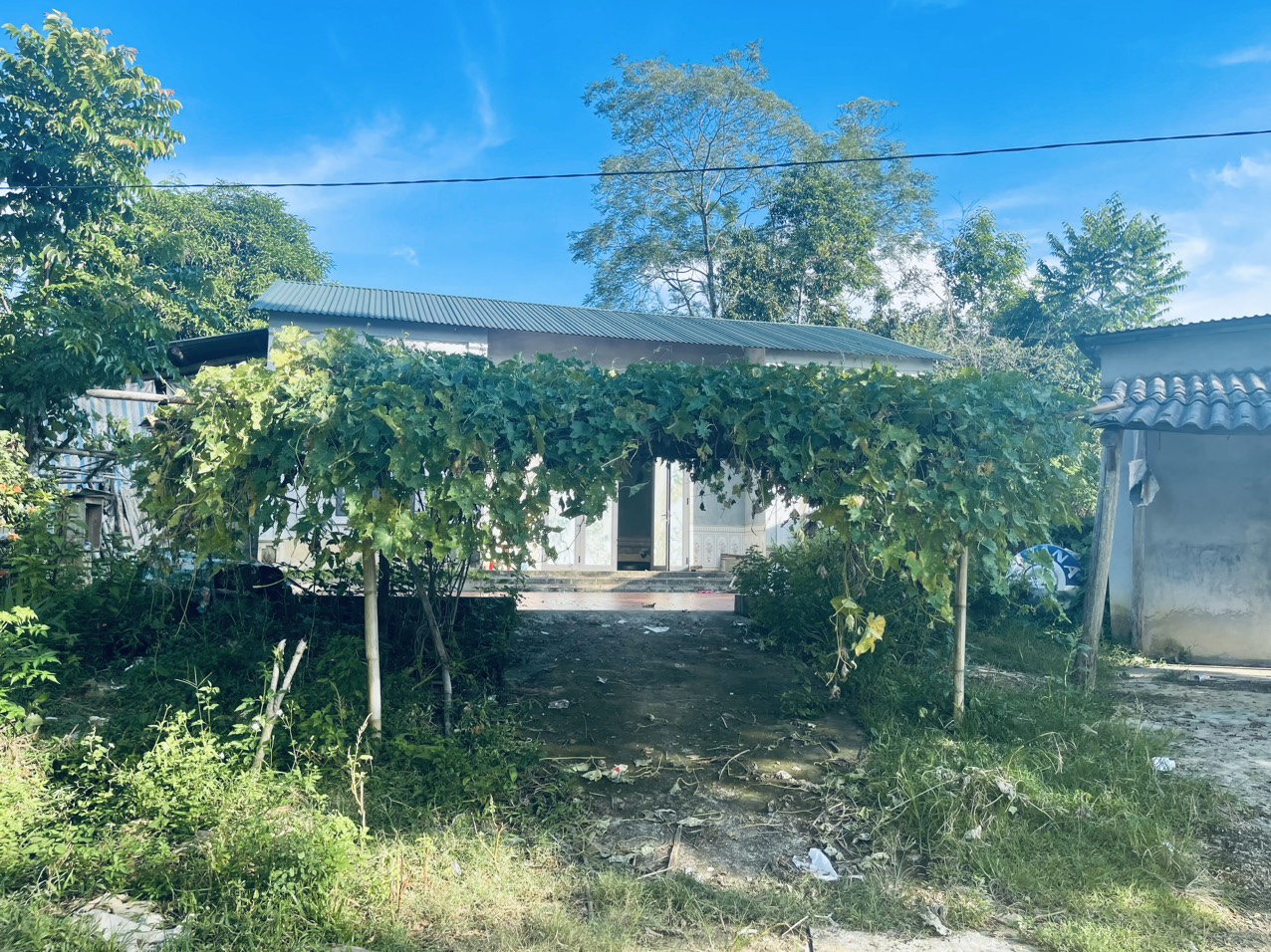 C&aacute;m cảnh bị TNGT ở Tuy&ecirc;n Quang cần được gi&uacute;p đỡ - Ảnh 3.