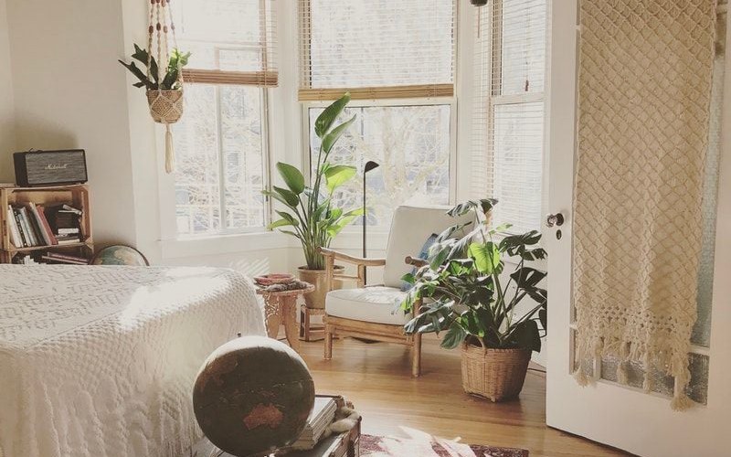 Loại c&acirc;y b&agrave;y ở ph&ograve;ng ngủ vừa gi&uacute;p ngủ ngon, tốt cho sức khỏe vừa h&uacute;t t&agrave;i lộc