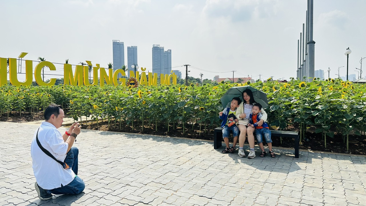 Người d&acirc;n đội nắng check-in vườn hướng dương đẹp nhất S&agrave;i G&ograve;n- Ảnh 4.
