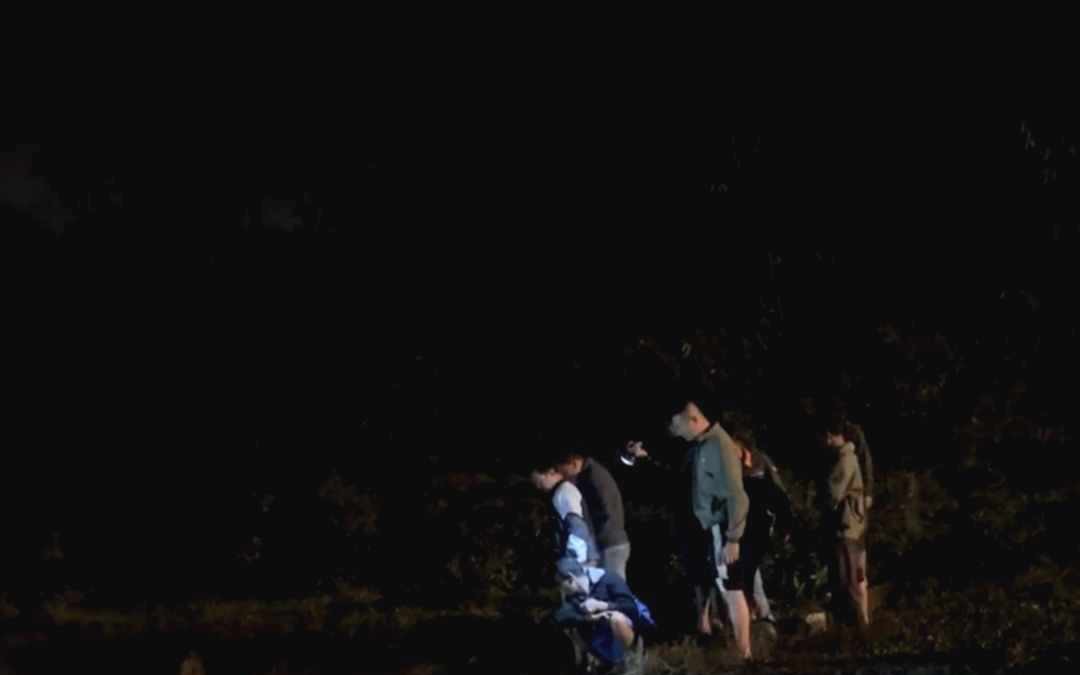 Rủ nhau đi chơi, hai học sinh lớp 3 đuối nước tử vong
