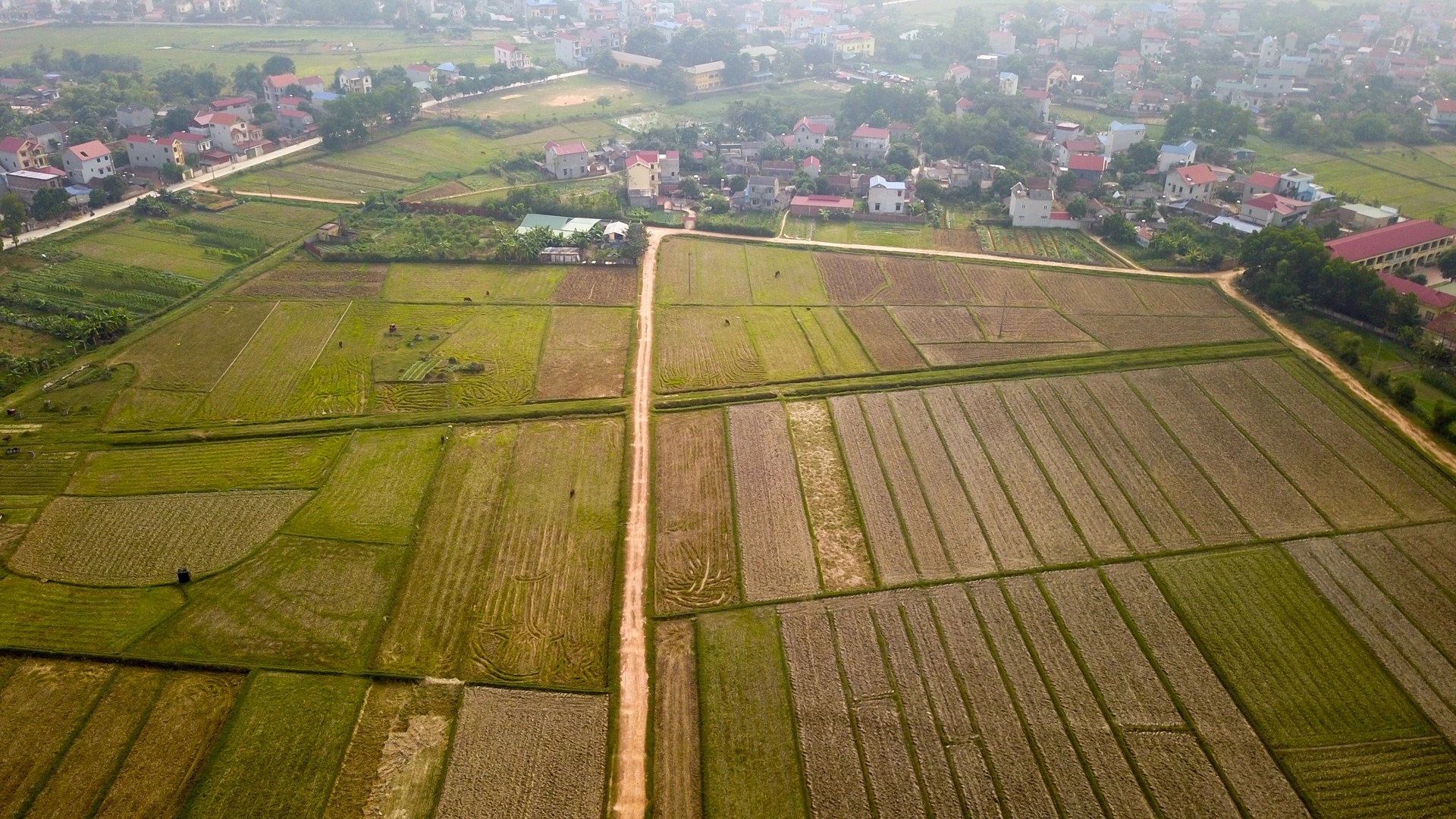 H&agrave; Nội lấy &yacute; kiến x&acirc;y trường đua ngựa hơn 400 triệu USD- Ảnh 1.