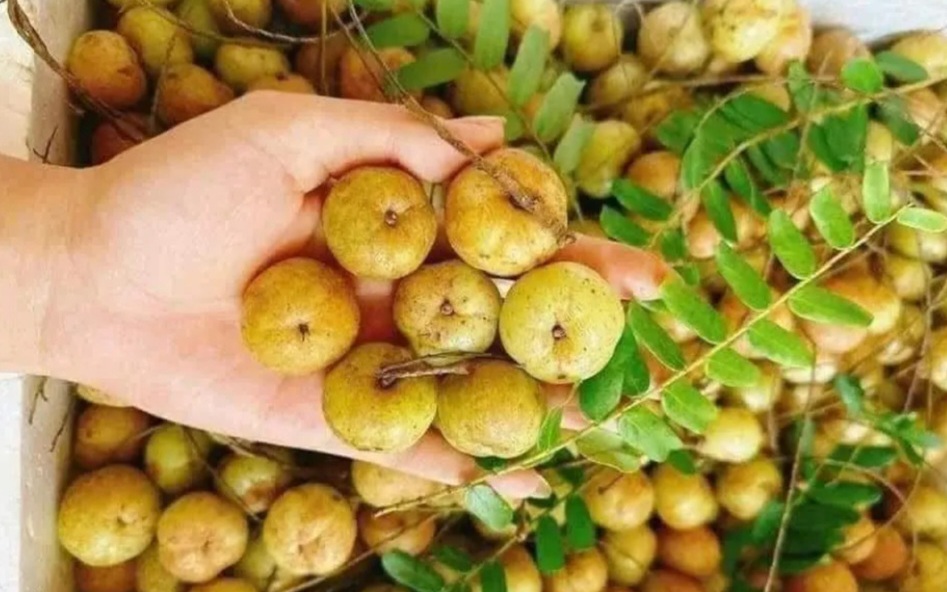 Loại quả 'l&agrave;m ẩm phổi v&agrave; giảm ho&rdquo; n&ecirc;n ăn nhất trong m&ugrave;a đ&ocirc;ng