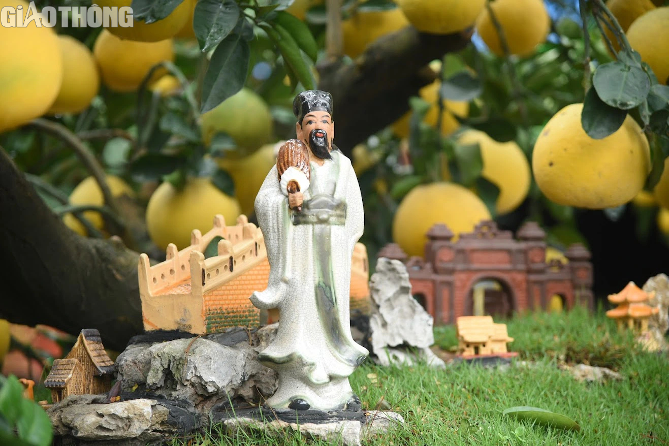 Bưởi cảnh bonsai gi&aacute; cả trăm triệu đồng b&agrave;y b&aacute;n ở H&agrave; Nội- Ảnh 7.