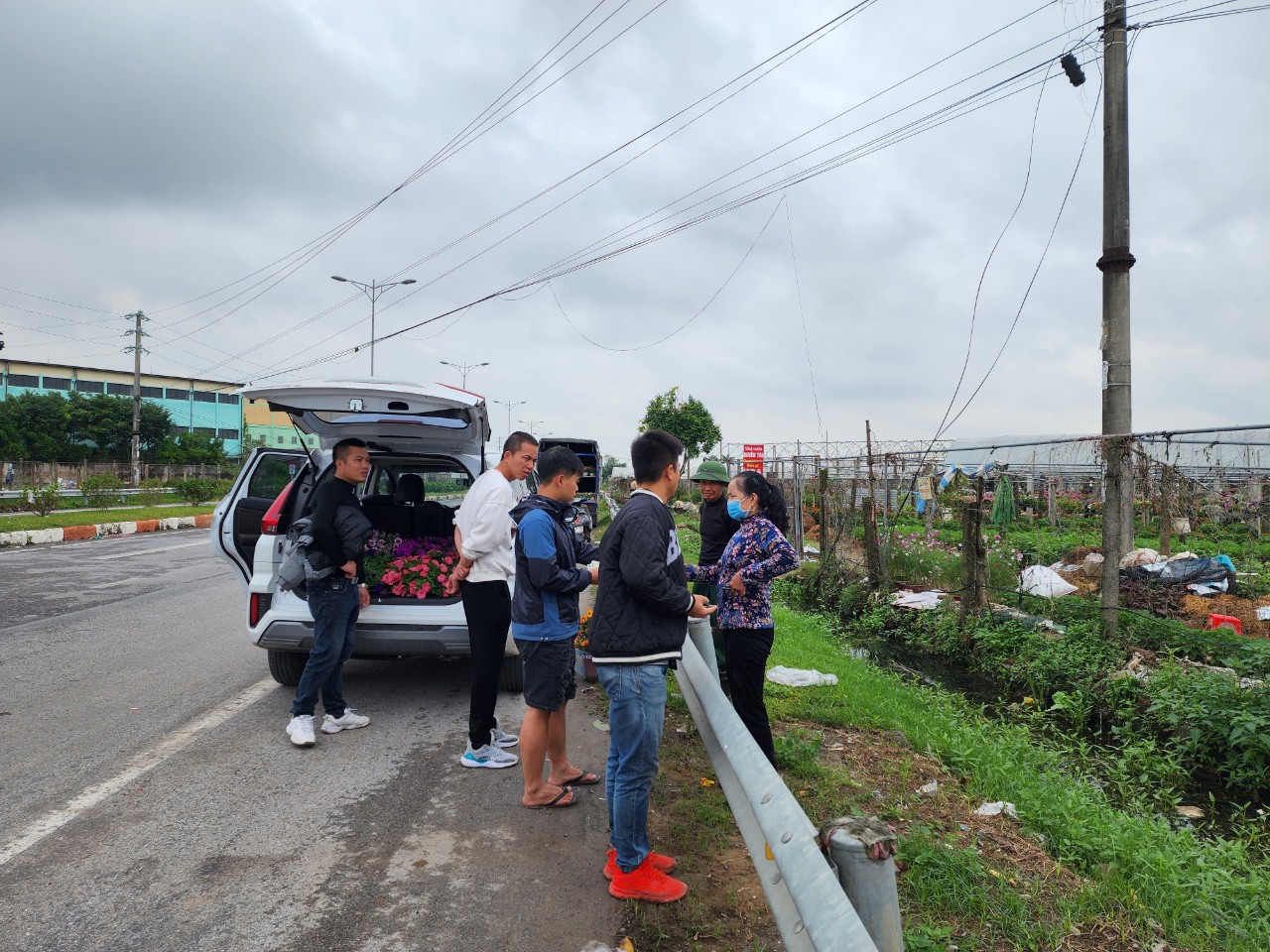 Làng hoa lớn nhất Thái Bình tấp nập khách mua, giá hoa Tết dự kiến tăng nhẹ- Ảnh 11. Làng hoa lớn nhất Thái Bình tấp nập khách mua, giá hoa Tết dự kiến tăng nhẹ- Ảnh 11.