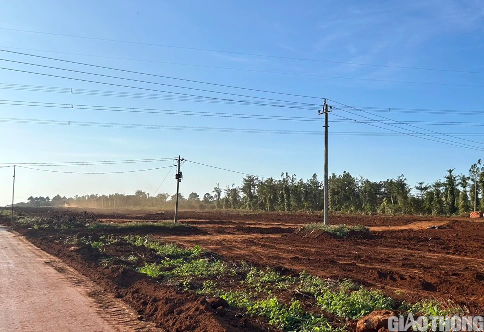 Di dời loạt trụ điện phục vụ thi c&ocirc;ng cao tốc Kh&aacute;nh H&ograve;a - Bu&ocirc;n Ma Thuột- Ảnh 2.