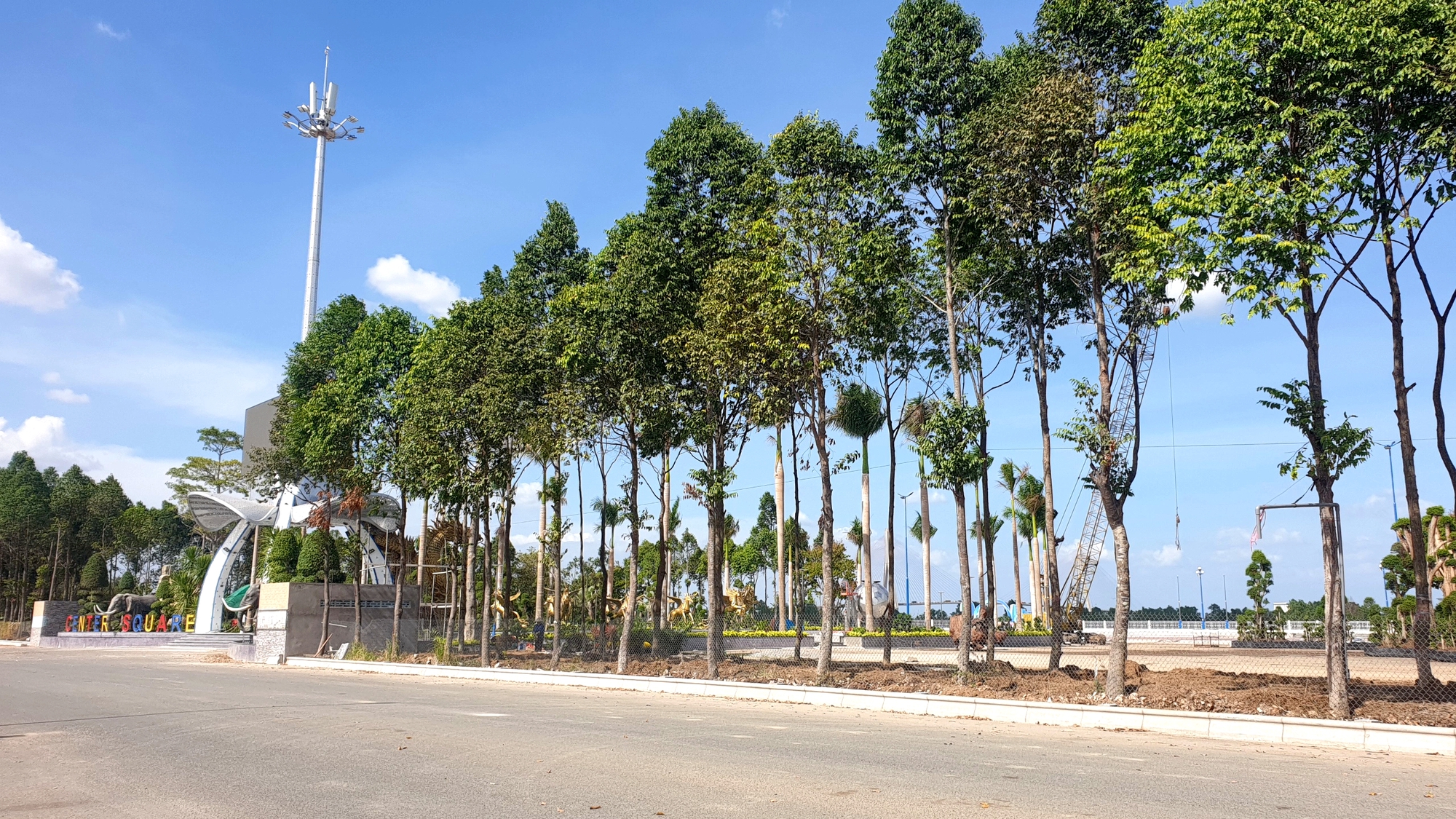 Cần Thơ mở chợ hoa Tết, miễn ph&iacute; mặt bằng cho người b&aacute;n- Ảnh 2.