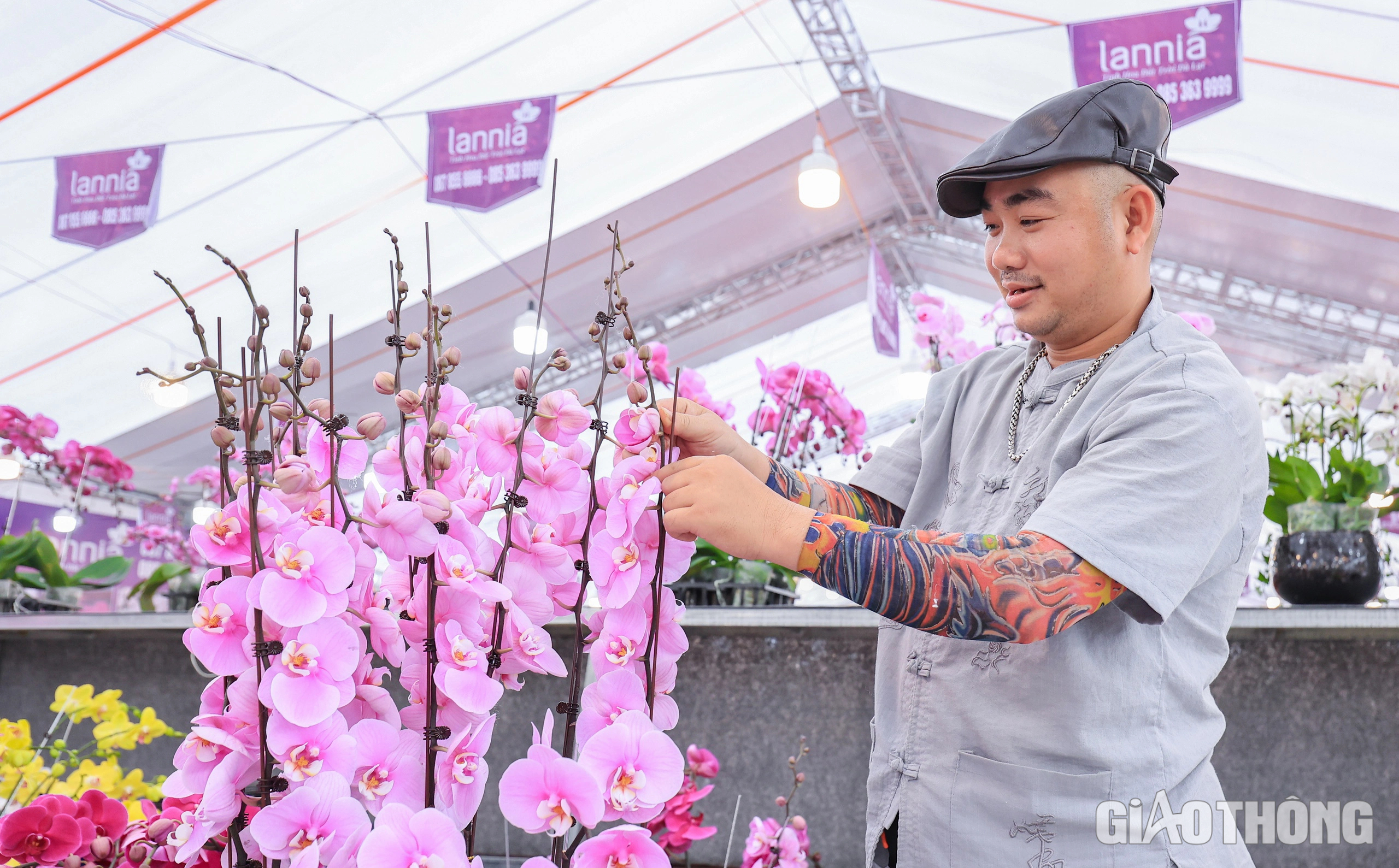 Ngắm chậu lan hồ điệp khổng lồ gi&aacute; hơn 3,8 tỷ đồng ở H&agrave; Nội- Ảnh 10.