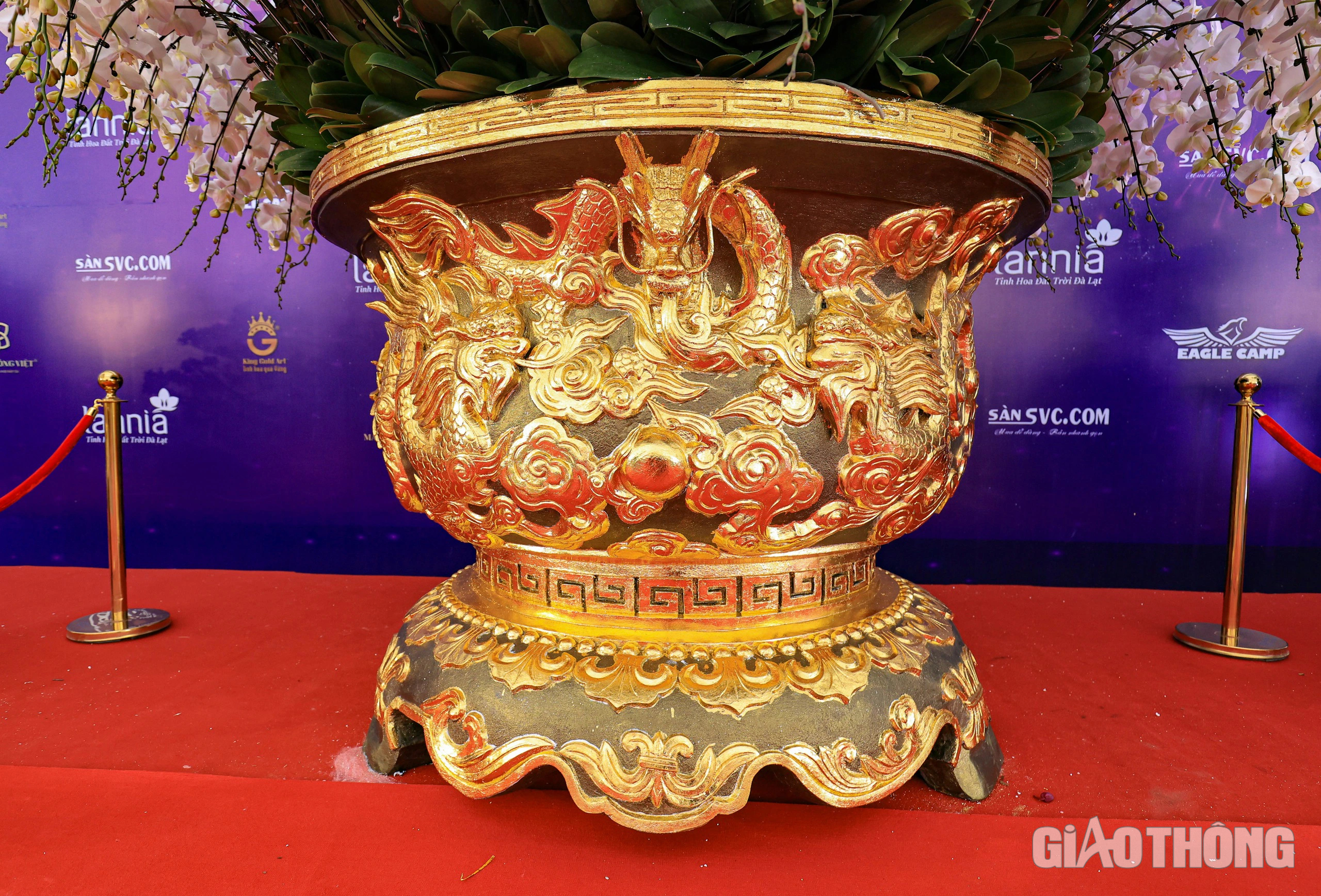 Ngắm chậu lan hồ điệp khổng lồ gi&aacute; hơn 3,8 tỷ đồng ở H&agrave; Nội- Ảnh 5.