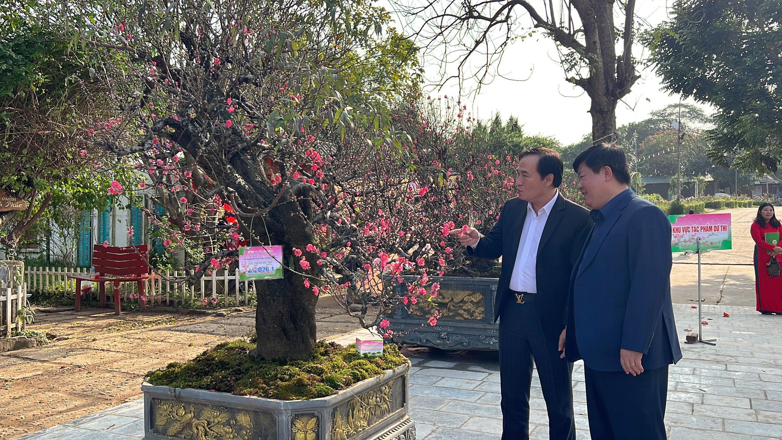 Du khách thích thú với hội thi hoa đào lần đầu tổ chức ở Thủ đô- Ảnh 11. Du khách thích thú với hội thi hoa đào lần đầu tổ chức ở Thủ đô- Ảnh 11.