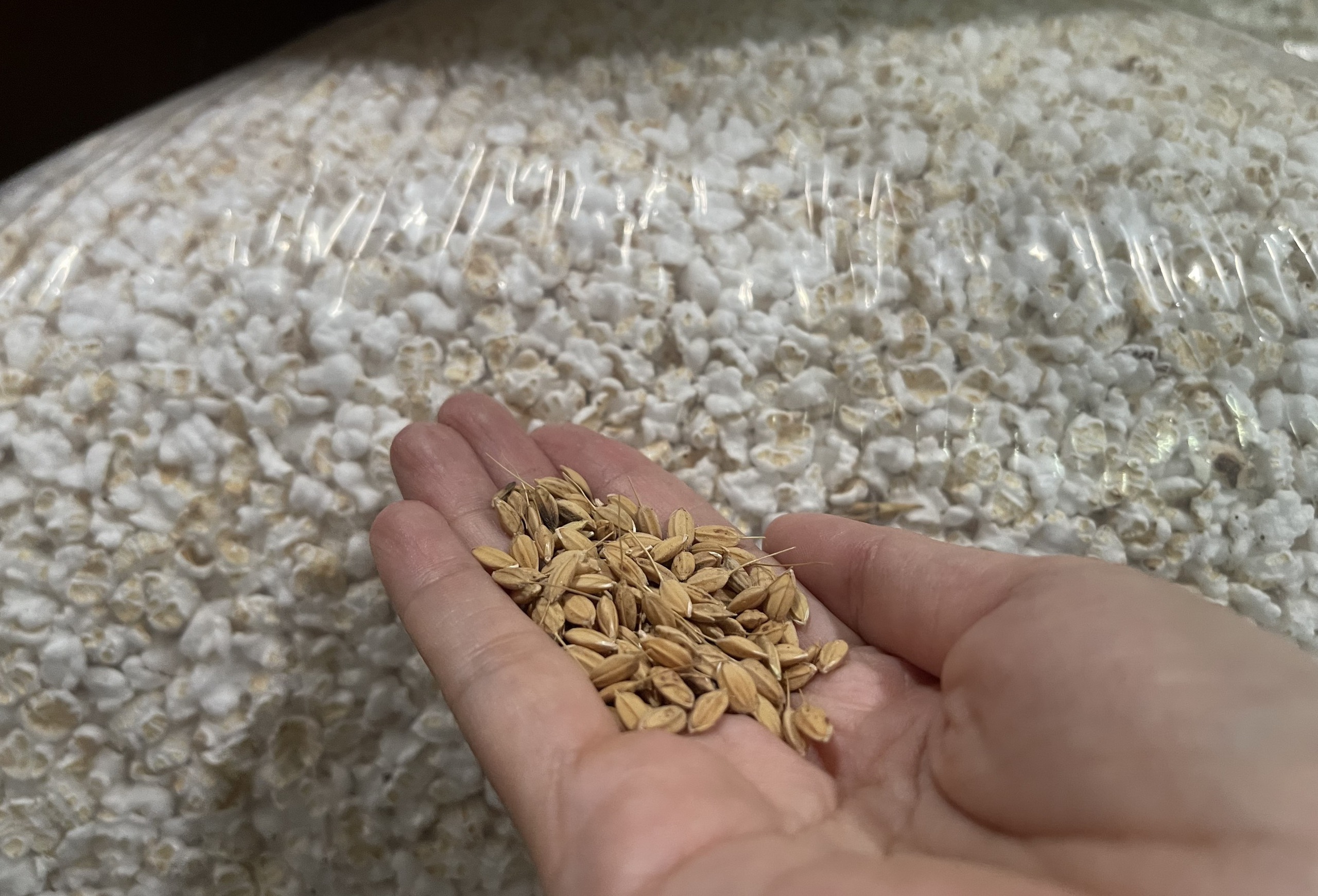 Lạ lẫm m&oacute;n b&aacute;nh truyền thống được l&agrave;m từ hạt nếp ngon gi&ograve;n ng&agrave;y Tết- Ảnh 2.