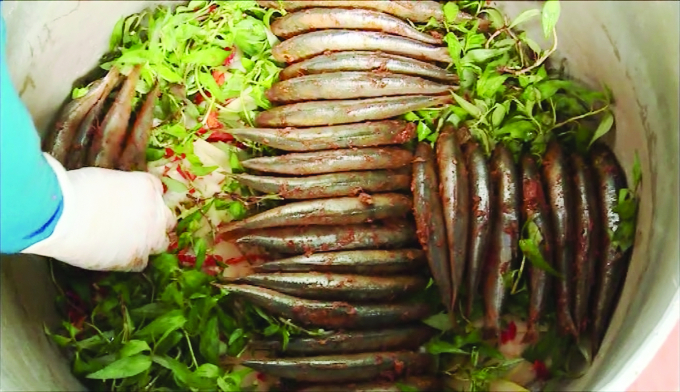 Loại c&aacute; b&eacute; x&iacute;u thơm ngon, gi&agrave;u dinh dưỡng v&agrave; Omega 3 rất tốt cho tim mạch- Ảnh 1.