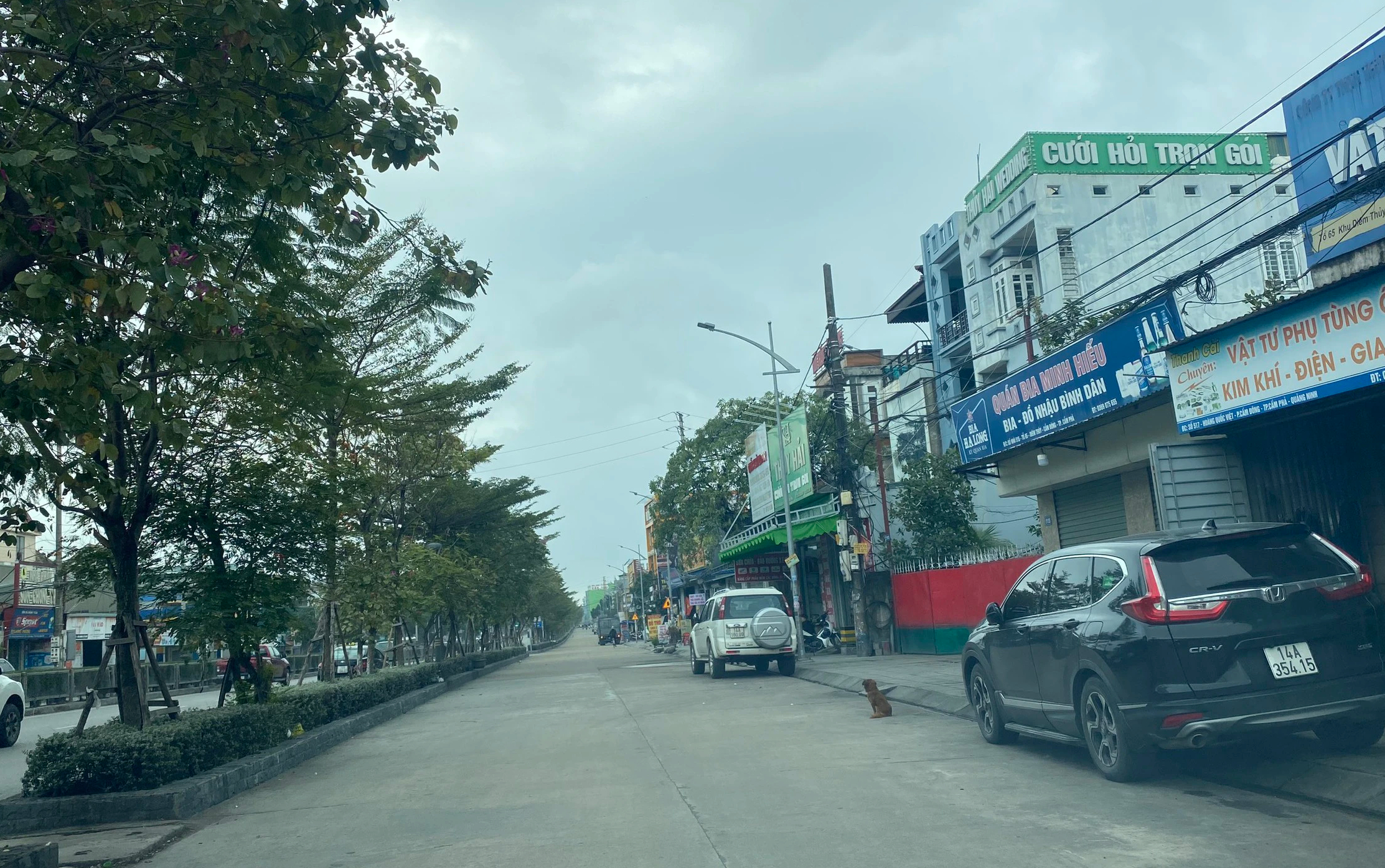Quảng Ninh: Dự &aacute;n đường gom "dậm ch&acirc;n tại chỗ", d&acirc;n tố bất thường khi triển khai- Ảnh 4.