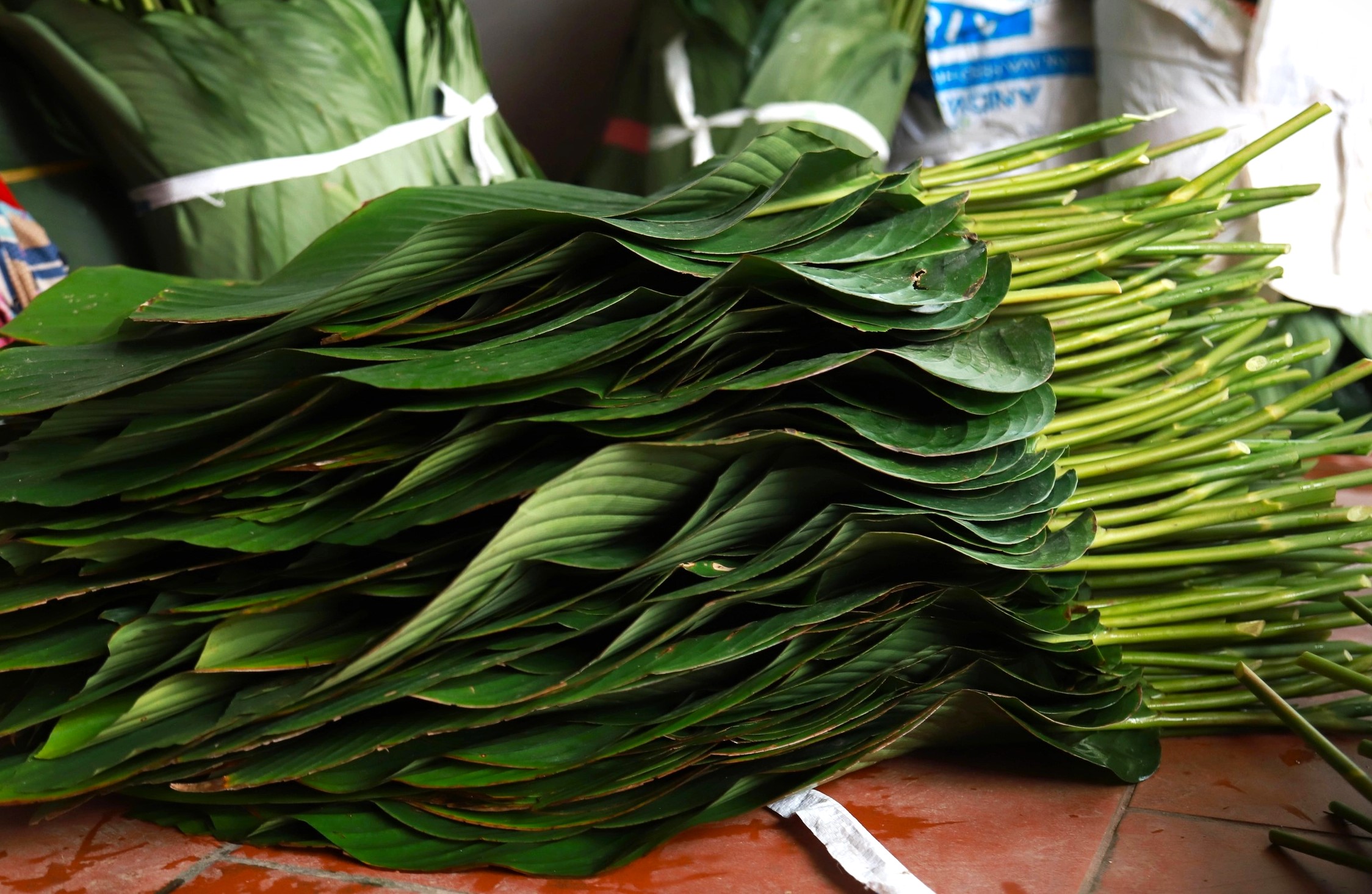 Làng lá dong lớn nhất Hà Nội tất bật thu hoạch vụ Tết- Ảnh 6. Làng lá dong lớn nhất Hà Nội tất bật thu hoạch vụ Tết- Ảnh 6.