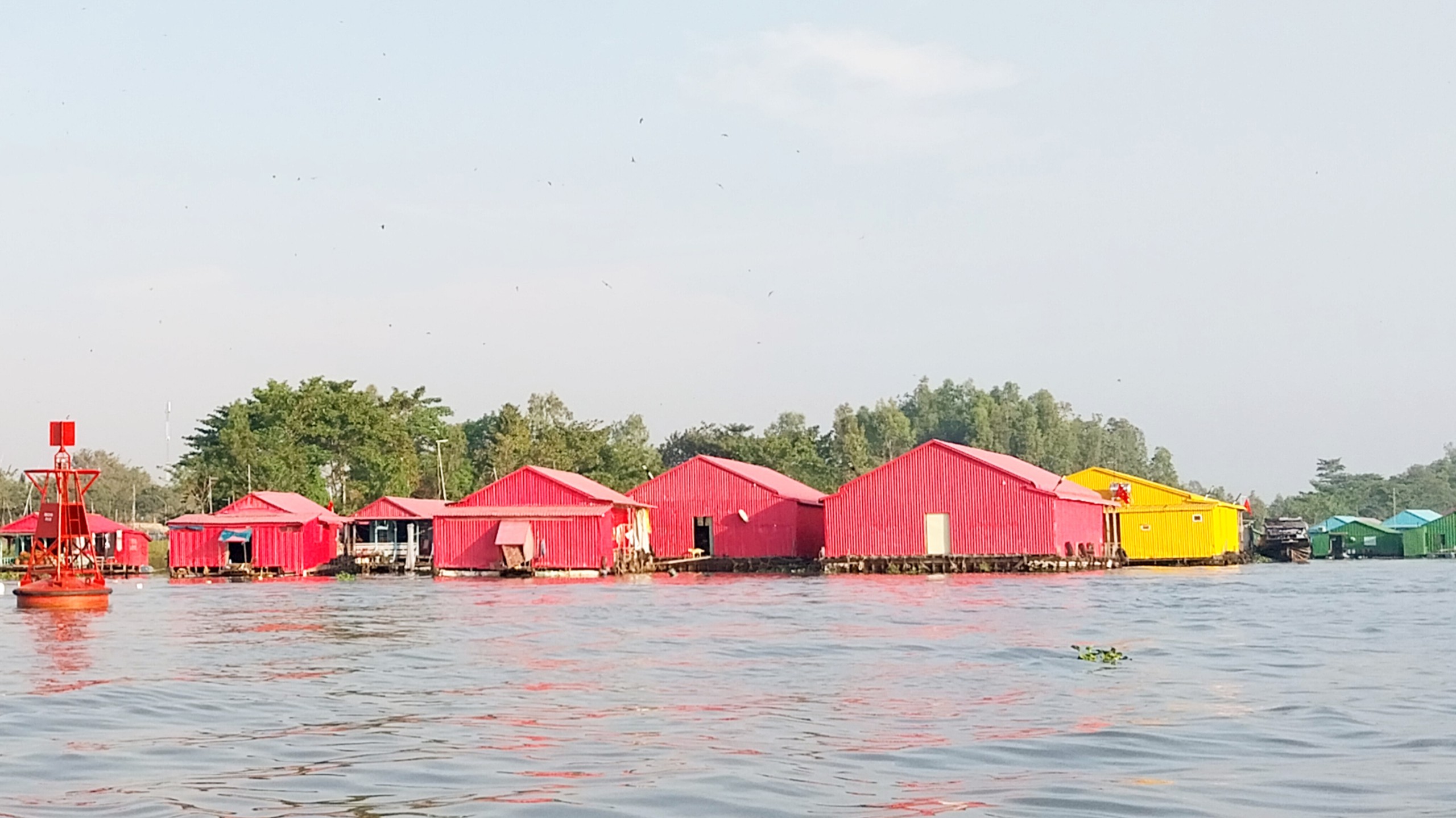 Làng bè đa sắc màu - Điểm du lịch miệt sông độc đáo ở An Giang- Ảnh 1. Làng bè đa sắc màu - Điểm du lịch miệt sông độc đáo ở An Giang- Ảnh 1.