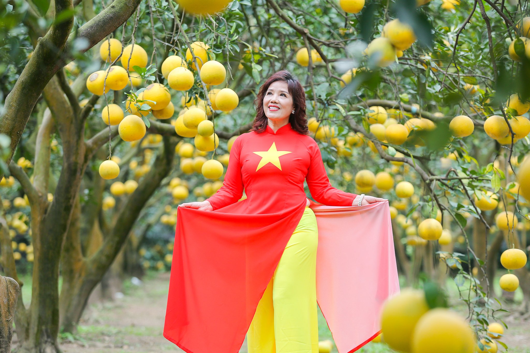 Nhà vườn bội thu khi khách nườm nườm đến chụp ảnh cùng bưởi Diễn- Ảnh 1. Nhà vườn bội thu khi khách nườm nườm đến chụp ảnh cùng bưởi Diễn- Ảnh 1.