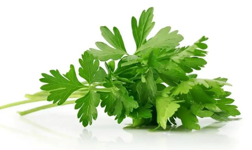 Loại rau quen thuộc v&ocirc; t&igrave;nh bị vứt bỏ phần "nh&acirc;n s&acirc;m" cực qu&yacute; gi&aacute; c&oacute; 6 lợi &iacute;ch cho cơ thể- Ảnh 1.