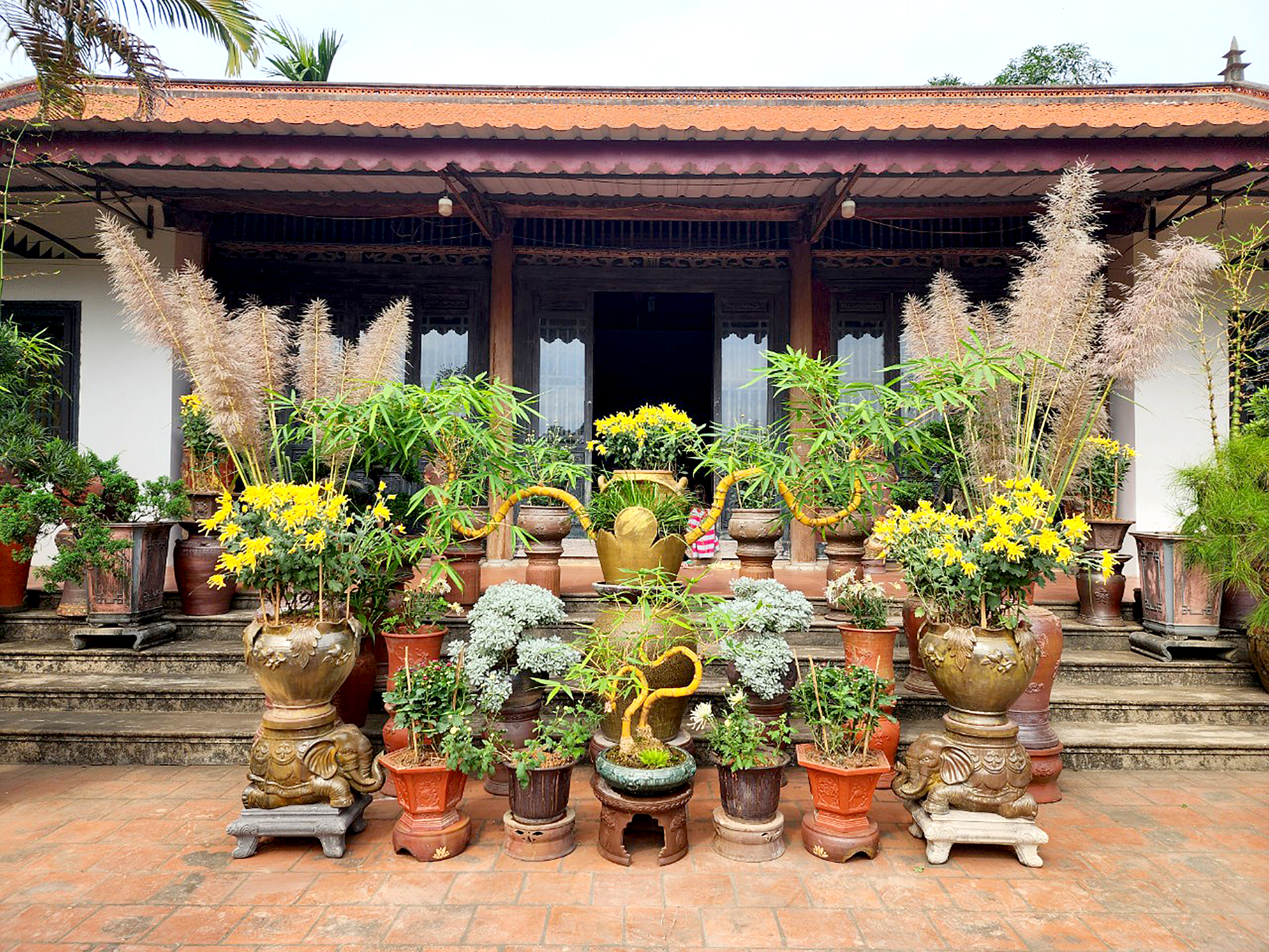 &ldquo;Đốt&rdquo; tiền tỷ cho đam m&ecirc; tre bonsai- Ảnh 3.