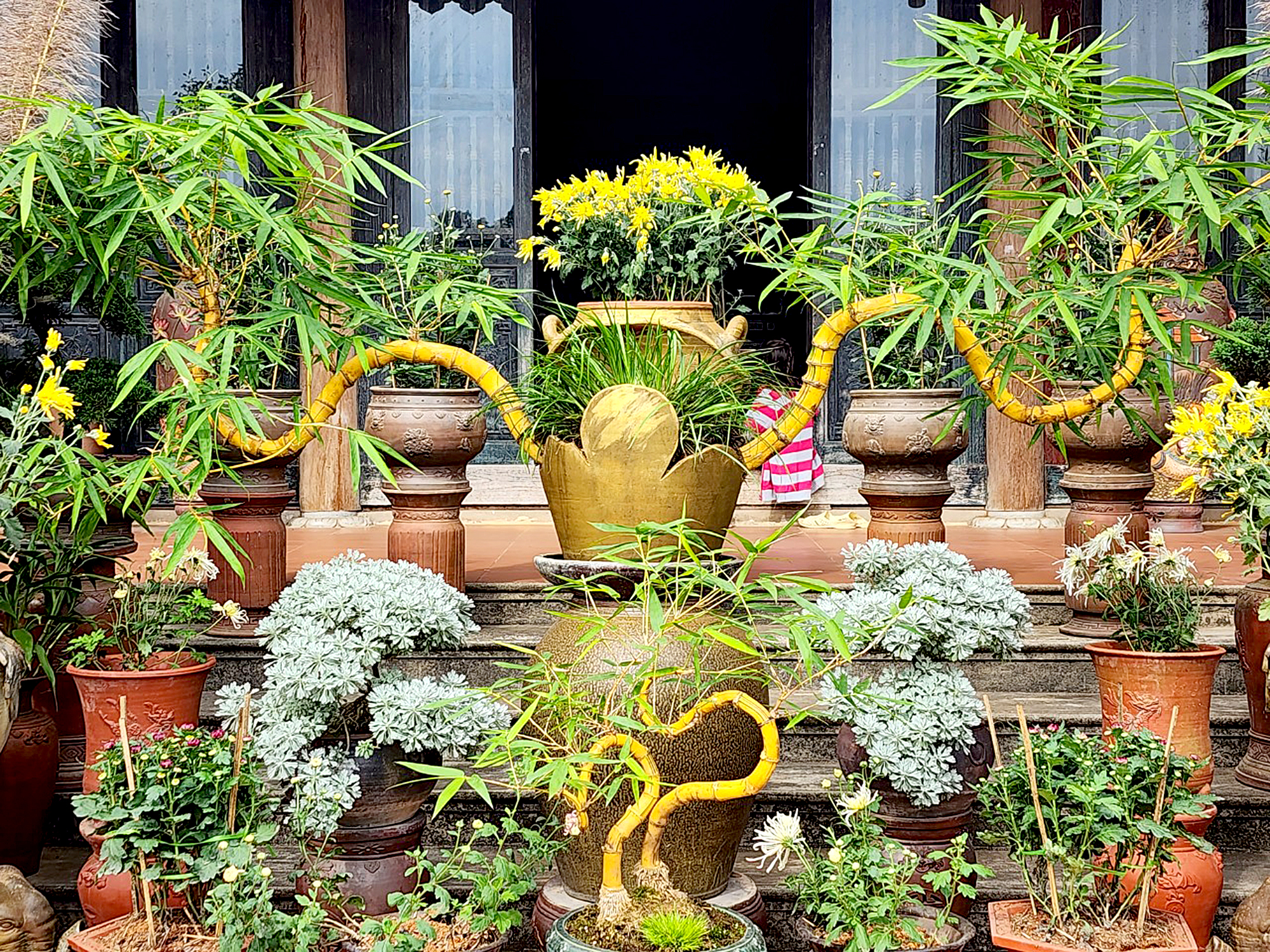 &ldquo;Đốt&rdquo; tiền tỷ cho đam m&ecirc; tre bonsai- Ảnh 1.