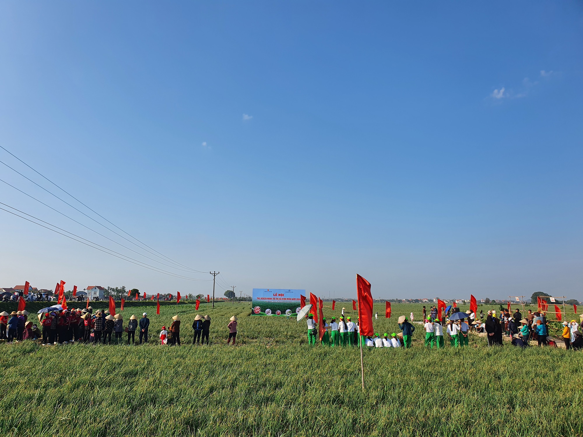 Người dân hào hứng lần đầu trải nghiệm lễ hội thu hoạch hành, tỏi- Ảnh 1. Người dân hào hứng lần đầu trải nghiệm lễ hội thu hoạch hành, tỏi- Ảnh 1.