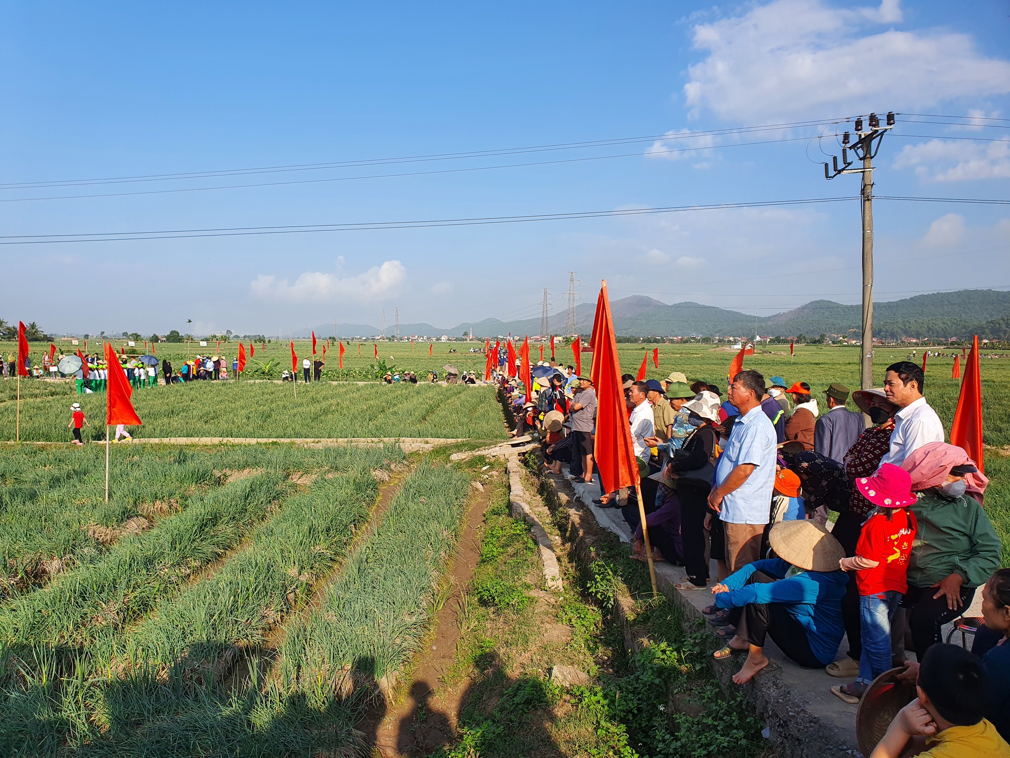Người dân hào hứng lần đầu trải nghiệm lễ hội thu hoạch hành, tỏi- Ảnh 10. Người dân hào hứng lần đầu trải nghiệm lễ hội thu hoạch hành, tỏi- Ảnh 10.
