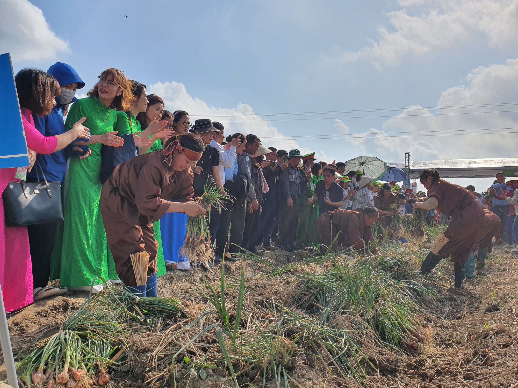 Người dân hào hứng lần đầu trải nghiệm lễ hội thu hoạch hành, tỏi- Ảnh 6. Người dân hào hứng lần đầu trải nghiệm lễ hội thu hoạch hành, tỏi- Ảnh 6.