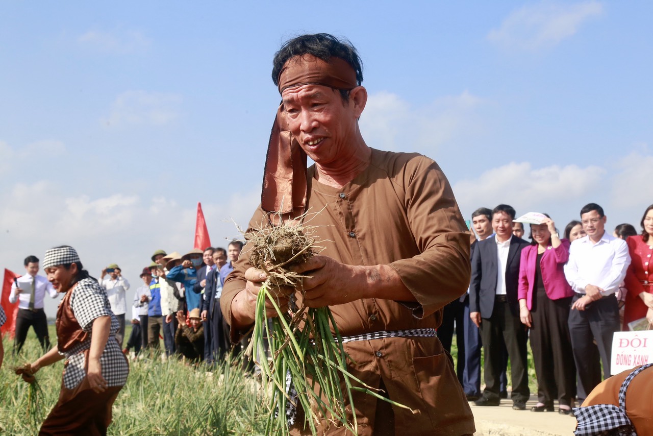Người dân hào hứng lần đầu trải nghiệm lễ hội thu hoạch hành, tỏi- Ảnh 3. Người dân hào hứng lần đầu trải nghiệm lễ hội thu hoạch hành, tỏi- Ảnh 3.