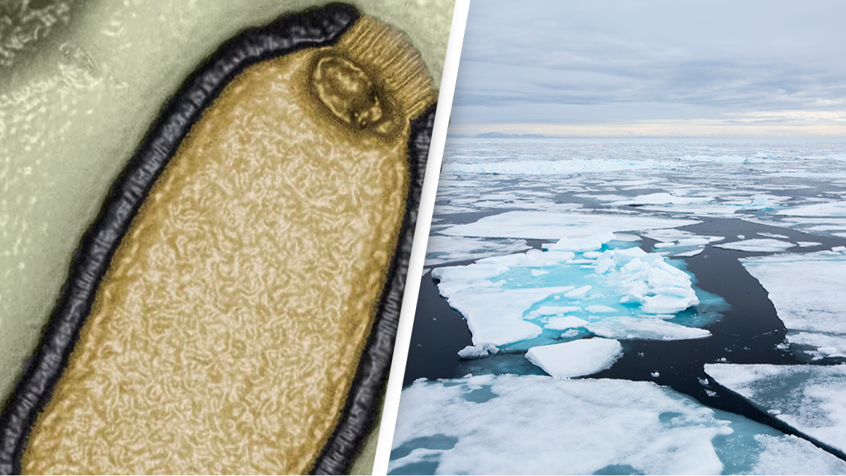 Virus "th&acirc;y ma" được ph&aacute;t hiện trong lớp băng vĩnh cửu v&ugrave;ng Bắc Cực (Ảnh: The Guardian)