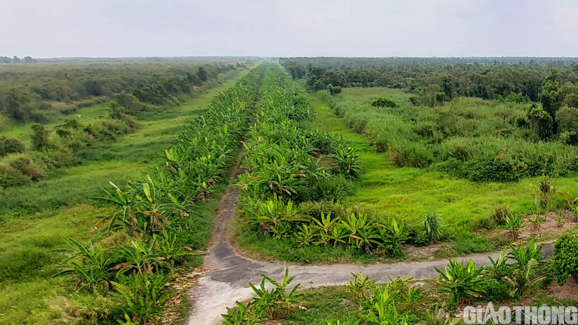 L&agrave;ng nghề &eacute;p chuối kh&ocirc; nổi tiếng C&agrave; Mau tất bật v&agrave;o vụ Tết- Ảnh 2.