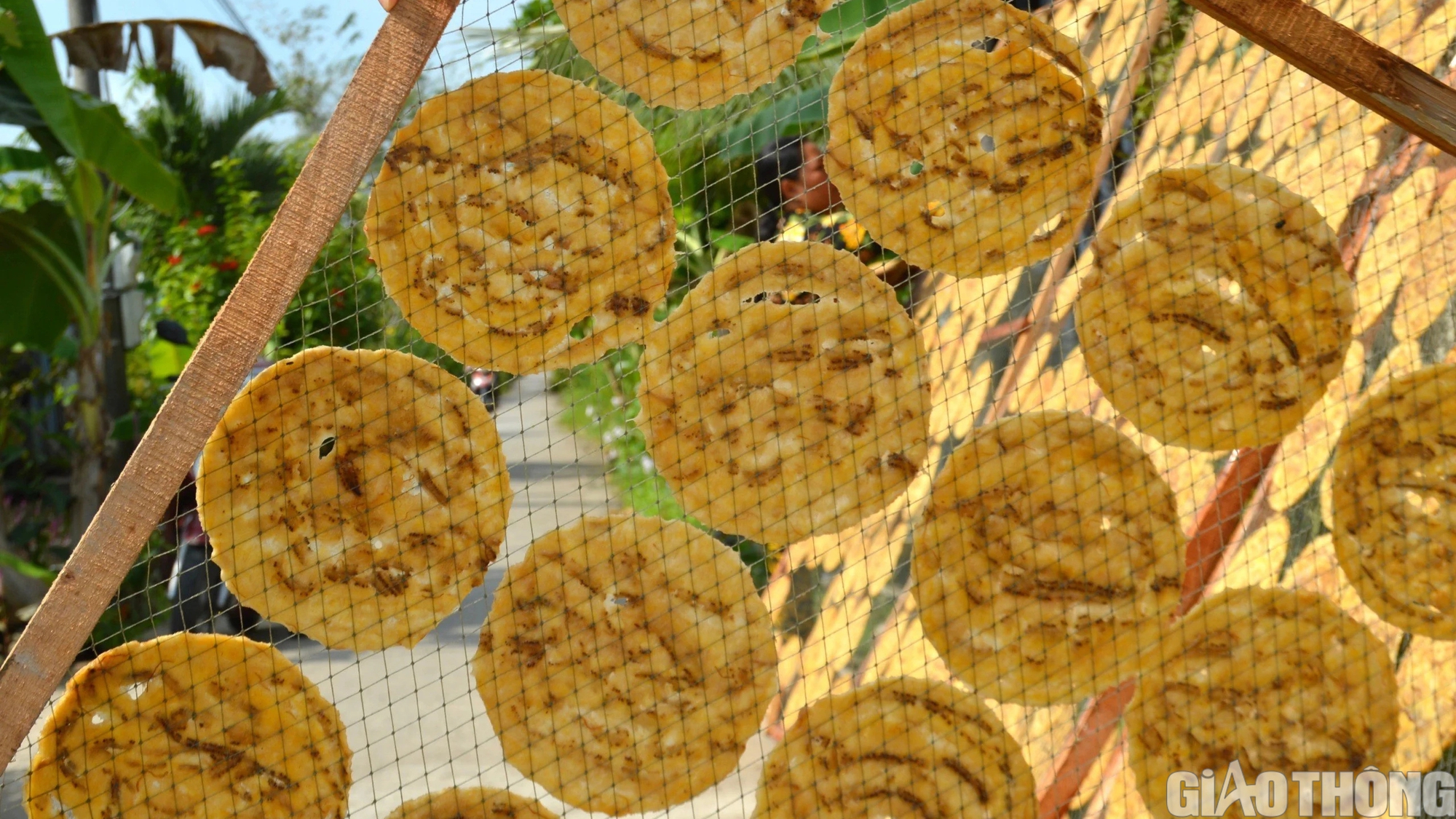 L&agrave;ng nghề &eacute;p chuối kh&ocirc; nổi tiếng C&agrave; Mau tất bật v&agrave;o vụ Tết- Ảnh 6.