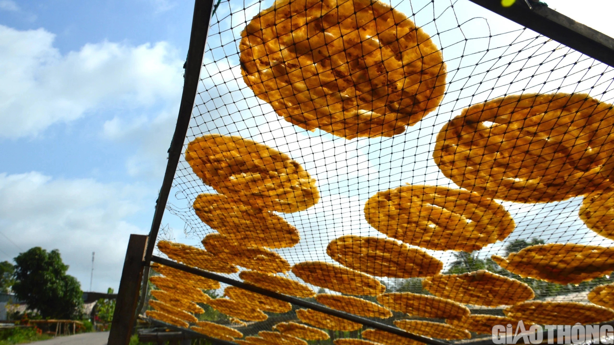 L&agrave;ng nghề &eacute;p chuối kh&ocirc; nổi tiếng C&agrave; Mau tất bật v&agrave;o vụ Tết- Ảnh 10.